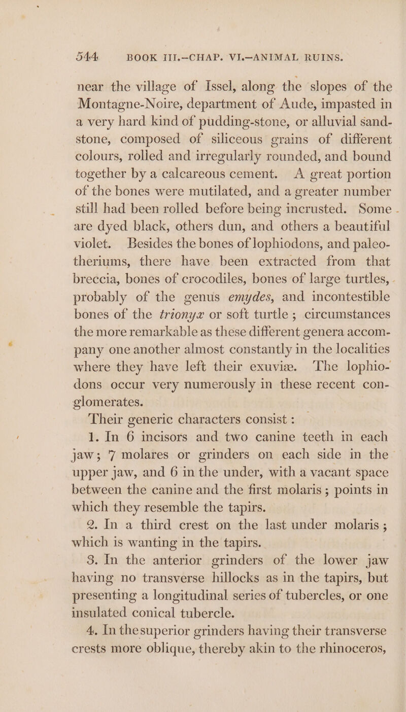 near the village of Issel, along the slopes of the Montagne-Noire, department of Aude, impasted in a very hard kind of pudding-stone, or alluvial sand- stone, composed of siliceous grains of different — colours, rolled and irregularly rounded, and bound together by a calcareous cement. A great portion of the bones were mutilated, and a greater number still had been rolled before being incrusted. Some - are dyed black, others dun, and others a beautiful violet. Besides the bones of lophiodons, and paleo- theriums, there have been extracted from that breccia, bones of crocodiles, bones of large turtles, - probably of the genus emydes, and incontestible bones of the trionyx or soft turtle ; circumstances the more remarkable as these different genera accom- pany one another almost constantly in the localities where they have left their exuvie. The lophio- dons occur very numerously in these recent con- glomerates. Their generic characters consist : 1. In 6 incisors and two canine teeth in each jaw; 7 molares or grinders on each side in the upper jaw, and 6 in the under, with a vacant space between the canine and the first molaris ; points in which they resemble the tapirs. 2. In a third crest on the last under molaris ; which is wanting in the tapirs. 3. In the anterior grinders of the lower jaw having no transverse hillocks as in the tapirs, but presenting a longitudinal series of tubercles, or one insulated conical tubercle. 4. In thesuperior grinders having their transverse crests more oblique, thereby akin to the rhinoceros,