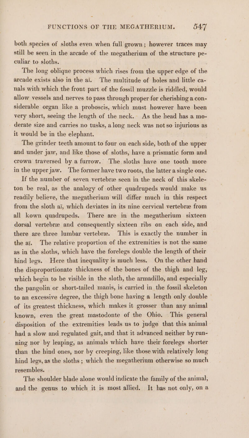 FUNCTIONS OF THE MEGATHERIUM. SAT both species of sloths even when full grown; however traces may still be seen in the arcade of the megatherium of the structure pe- culiar to sloths. i The long oblique process which rises from the upper edge of the arcade exists also in the ai. The multitude of holes and little ca- nals with which the front part of the fossil muzzle is riddled, would allow vessels and nerves to pass through proper for cherishing a con- siderable organ like a proboscis, which must however have been very short, seeing the length of the neck. As the head has a mo- derate size and carries no tusks, along neck was not so injurious as it would be in the elephant. The grinder teeth amount to four on each side, beth of the upper and under jaw, and like those of sloths, have a prismatic form and crown traversed by a furrow. The sloths have one tooth more in the upper jaw. The former have two roots, the latter a single one. If the number of seven vertebrz seen in the neck of this skele- ton be real, as the analogy of other quadrupeds would make us readily believe, the megatherium will differ much in this respect from the sloth ai, which deviates in its nine cervical vertebrae from all kown quadrupeds. There are in the megatherium sixteen dorsal vertebree and consequently sixteen ribs on each side, and there are three lumbar vertebree. This is exactly the number in the ai. The relative proportion of the extremities is not the same as in the sloths, which have the forelegs double the length of their hind legs. Here that inequality is much less. On the other hand the disproportionate thickness of the bones of the thigh and leg, which begin to be visible in the sloth, the armadillo, and especially the pangolin or short-tailed manis, is carried in the fossil skeleton to an excessive degree, the thigh bone having a length only double © of its greatest thickness, which makes it grosser than any animal known, even the great mastodonte of the Ohio. This general disposition of the extremities leads us to judge that this animal had a slow and regulated gait, and that it advanced neither by run- ning nor by leaping, as animals which have their forelegs shorter than the hind ones, nor by creeping, like those with relatively long hind legs, as the sloths ; which the megatherium otherwise so much resembles. The shoulder blade alone would indicate the family of the animal, and the genus to which it is most allied. It has not only, on a