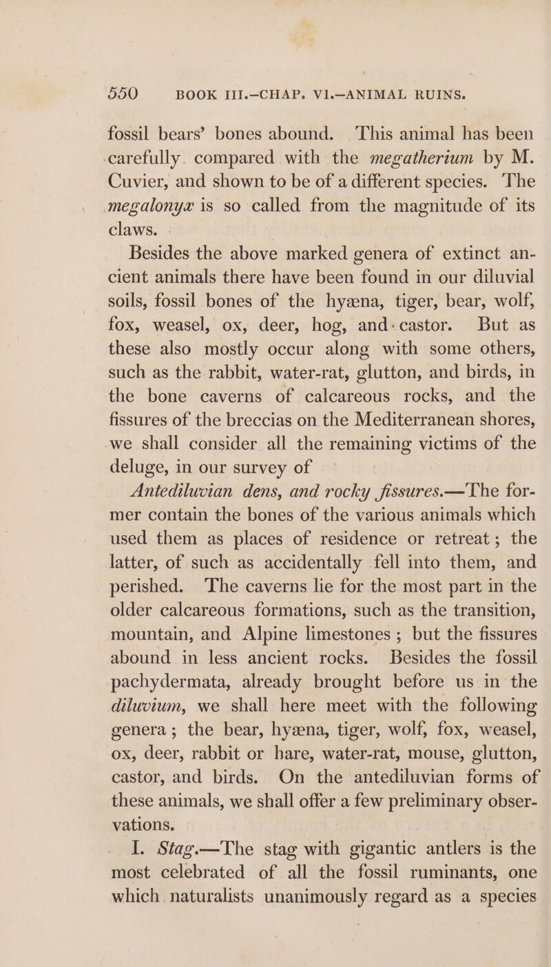 fossil bears’ bones abound. ‘This animal has been -carefully. compared with the megatherium by M. Cuvier, and shown to be of a different species. ‘The megalonyz is so called from the magnitude of its claws. . Besides the above marked genera of extinct an- cient animals there have been found in our diluvial soils, fossil bones of the hyena, tiger, bear, wolf, fox, weasel, ox, deer, hog, and-castor. But as these also mostly occur along with some others, such as the rabbit, water-rat, glutton, and birds, in the bone caverns of calcareous rocks, and the fissures of the breccias on the Mediterranean shores, -we shall consider all the remaining victims of the deluge, in our survey of Antediluvian dens, and rocky fissures.—The for- mer contain the bones of the various animals which used them as places of residence or retreat; the latter, of such as accidentally fell into them, and perished. The caverns lie for the most part in the older calcareous formations, such as the transition, mountain, and Alpine limestones ; but the fissures abound in less ancient rocks. Besides the fossil pachydermata, already brought before us in the diluvium, we shall here meet with the following genera; the bear, hyena, tiger, wolf, fox, weasel, ox, deer, rabbit or hare, water-rat, mouse, glutton, castor, and birds. On the antediluvian forms of these animals, we shall offer a few preliminary obser- vations. I. Stag.—The stag with gigantic antlers is the most celebrated of all the fossil ruminants, one which naturalists unanimously regard as a species