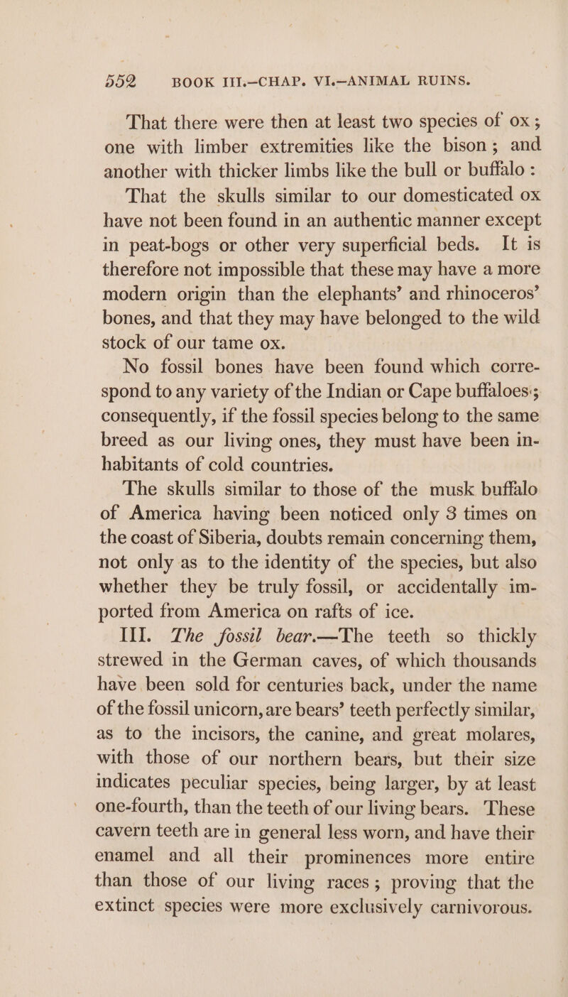 That there were then at least two species of ox; one with limber extremities like the bison; and another with thicker limbs like the bull or buffalo : That the skulls similar to our domesticated ox have not been found in an authentic manner except in peat-bogs or other very superficial beds. It is therefore not impossible that these may have a more modern origin than the elephants’ and rhinoceros’ bones, and that they may have belonged to the wild stock of our tame ox. No fossil bones have been found which corre- spond to any variety of the Indian or Cape buftfaloes:; consequently, if the fossil species belong to the same breed as our living ones, they must have been in- habitants of cold countries. The skulls similar to those of the musk buffalo of America having been noticed only 3 times on the coast of Siberia, doubts remain concerning them, not only as to the identity of the species, but also whether they be truly fossil, or accidentally im- ported from America on rafts of ice. III. The fossil bear.—The teeth so thickly strewed in the German caves, of which thousands have been sold for centuries back, under the name of the fossil unicorn, are bears’ teeth perfectly similar, as to the incisors, the canine, and great molares, with those of our northern bears, but their size indicates peculiar species, being larger, by at least one-fourth, than the teeth of our living bears. These cavern teeth are in general less worn, and have their enamel and all their prominences more entire than those of our living races; proving that the extinct species were more exclusively carnivorous.