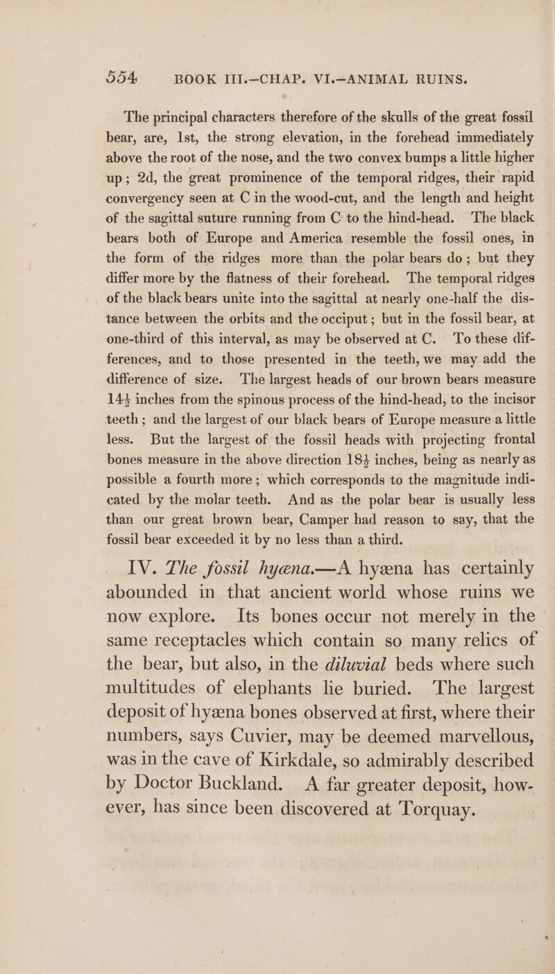 The principal characters therefore of the skulls of the great fossil bear, are, Ist, the strong elevation, in the forehead immediately above the root of the nose, and the two convex bumps a little higher up; 2d, the great prominence of the temporal ridges, their rapid convergency seen at C in the wood-cut, and the length and height of the sagittal suture running from C to the hind-head. The black bears both of Europe and America resemble the fossil ones, in the form of the ridges more than the polar bears do; but they differ more by the flatness of their forehead. The temporal ridges of the black bears unite into the sagittal at nearly one-half the dis- tance between the orbits and the occiput ; but in the fossil bear, at one-third of this interval, as may be observed at C. To these dif- ferences, and to those presented in the teeth,we may add the difference of size. The largest heads of our brown bears measure 143 inches from the spinous process of the hind-head, to the incisor teeth ; and the largest of our black bears of Europe measure a little less. But the largest of the fossil heads with projecting frontal bones measure in the above direction 183 inches, being as nearly as possible a fourth more; which corresponds to the magnitude indi- cated by the molar teeth. And as.the polar bear is usually less than our great brown bear, Camper had reason to say, that the fossil bear exceeded it by no less than a third. IV. The fossil hyena.—A hyena has certainly abounded in that ancient world whose ruins we now explore. Its bones occur not merely in the same receptacles which contain so many relics of the bear, but also, in the diluvial beds where such multitudes of elephants lie buried. The largest deposit of hyzena bones observed at first, where their numbers, says Cuvier, may be deemed marvellous, was in the cave of Kirkdale, so admirably described by Doctor Buckland. A far greater deposit, how- ever, has since been discovered at Torquay.