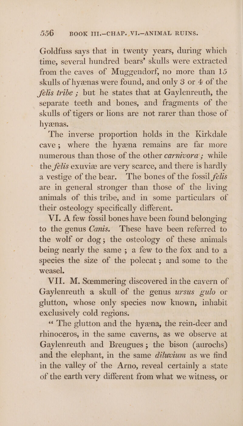 Goldfuss says that in twenty years, during which time, several hundred bears’ skulls were extracted from the caves of Muggendorf, no more than 15 skulls of hyzenas were found, and only 3 or 4 of the felis tribe ; but he states that at Gaylenreuth, the separate teeth and bones, and fragments of the skulls of tigers or lions are not rarer than those of hyenas. The inverse proportion holds in the Kirkdale cave; where the hyzena remains are far more numerous than those of the other carnivora ; while the felis exuvize are very scarce, and there is hardly a vestige of the bear. ‘The bones of the fossil felis are in general stronger than those of the living animals of this tribe, and in some particulars of their osteology specifically different. VI. A few fossil bones have been found belonging to the genus Canis. ‘These have been referred to the wolf or dog; the osteology of these animals being nearly the same ; a few to the fox and to a species the size of the polecat; and some to the weasel. VII. M. Scemmering discovered in the cavern of Gaylenreuth a skull of the genus ursus gulo or glutton, whose only species now known, inhabit exclusively cold regions. “The glutton ania the hyzena, the rein-deer nel rhinoceros, in the same caverns, as we observe at Gaylenreuth and Breugues; the bison (aurochs) and the elephant, in the same di/uvium as we find in the valley of the Arno, reveal certainly a state of the earth very different from what we witness, or
