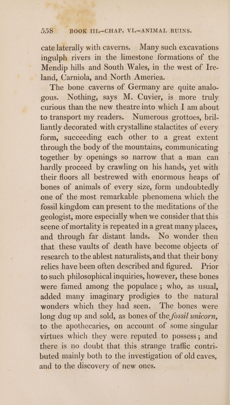 cate laterally with caverns. Many such excavations ingulph rivers in the limestone formations of the Mendip hills and South Wales, in the west of Ire- land, Carniola, and North Ameriea. The bone caverns of Germany are quite analo- gous. Nothing, says M. Cuvier, is more truly curious than the new theatre into which I am about to transport my readers. Numerous grottoes, bril- liantly decorated with crystalline stalactites of every form, succeeding each other to a great extent through the body of the mountains, communicating together by openings so narrow that a man can hardly proceed by crawling on his hands, yet with their floors all bestrewed with enormous heaps of bones of animals of every size, form undoubtedly one of the most remarkable phenomena which the fossil kingdom can present to the meditations of the geologist, more especially when we consider that this scene of mortality is repeated in a great many places, and through far distant lands. No wonder then that these vaults of death have become objects of research to the ablest naturalists, and that their bony relics have been often described and figured. Prior to such philosophical inquiries, however, these bones were famed among the populace ; who, as usual, added many imaginary prodigies to the natural wonders which they had seen. ‘The bones were long dug up and sold, as bones of the foss¢l unicorn, to the apothecaries, on account of some singular virtues which they were reputed to possess; and there is no doubt that this strange traffic contri- buted mainly both to the investigation of old caves, and to the discovery of new ones.
