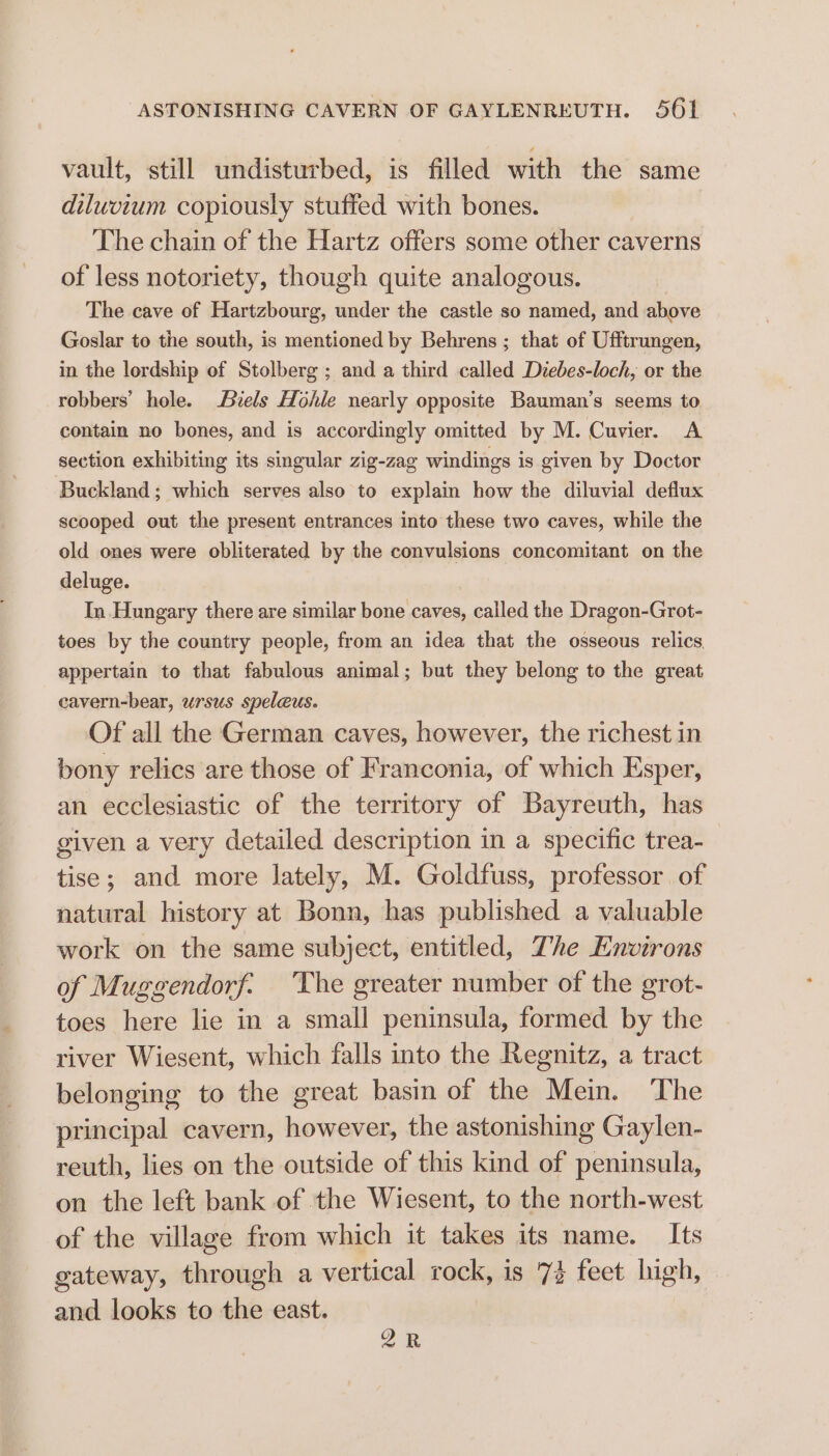 vault, still undisturbed, is filled with the same diluvium copiously stuffed with bones. The chain of the Hartz offers some other caverns of less notoriety, though quite analogous. , The cave of Hartzbourg, under the castle so named, and above Goslar to the south, is mentioned by Behrens ; that of Ufftrungen, in the lordship of Stolberg ; and a third called Diebes-loch, or the robbers’ hole. Biels Hohle nearly opposite Bauman’s seems to contain no bones, and is accordingly omitted by M. Cuvier. A section exhibiting its singular zig-zag windings is given by Doctor Buckland; which serves also to explain how the diluvial deflux scooped out the present entrances into these two caves, while the old ones were obliterated by the convulsions concomitant on the deluge. In Hungary there are similar bone caves, called the Dragon-Grot- toes by the country people, from an idea that the osseous relics. appertain to that fabulous animal; but they belong to the great cavern-bear, ursus speleus. Of all the German caves, however, the richest in bony relics are those of Franconia, of which Esper, an ecclesiastic of the territory of Bayreuth, has given a very detailed description in a specific trea- tise; and more lately, M. Goldfuss, professor of natural history at Bonn, has published a valuable work on the same subject, entitled, The Environs of Muggendorf. The greater number of the grot- toes here lie in a small peninsula, formed by the river Wiesent, which falls into the Regnitz, a tract belonging to the great basin of the Mein. The principal cavern, however, the astonishing Gaylen- reuth, lies on the outside of this kind of peninsula, on the left bank of the Wiesent, to the north-west of the village from which it takes its name. Its gateway, through a vertical rock, is 7% feet high, and looks to the east. 2R