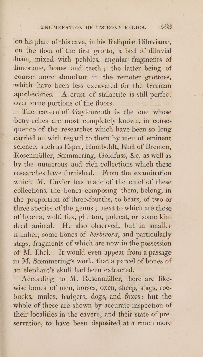 on his plate of this cave, in his Reliquize: Diluviane, on the floor of the first grotto, a bed of diluvial loam, mixed with Bbulilos angular’ fragments of limestone, bones and teeth; the latter being of course more abundant in the remoter grottoes, ‘which have been less excavated for the German apothecaries. A.crust of stalactite is still wr over some portions of the floors. _ The cavern of Gaylenreuth is the one apitowe bony relies are most completely known, in conse- quence of the researches which have been so long carried on with regard to them by. men of eminent science, such as Esper, Humboldt, Ebel of Bremen, Rosenmiiller, Scemmering, Goldfuss, &amp;c. as well as by the numerous and rich collections which these researches have furnished. From the examination which M. Cuvier has made of the chief of these collections, the bones composing them, belong, in the proportion of three-fourths, to bears, of two or three species of the genus ; next to which are those of hyana, wolf, fox, glutton, polecat, or some kin- dred animal. He also observed, but in smaller number, some bones of herbivora, and particularly stags, fragments of which are now in the possession of M. Ebel. It would even appear from a passage in M. Scemmering’s work, that a parcel of bones of an elephant’s skull had been extracted. 3 According to M. Rosenmiiller, there are like- wise bones ob men, horses, oxen, sheep, stags, roe- bucks, mules, badgers, dogs, and foxes; but the whole of these are shown by accurate inspection of their localities in the cavern, and their state of pre- servation, to have been deposited at a much more