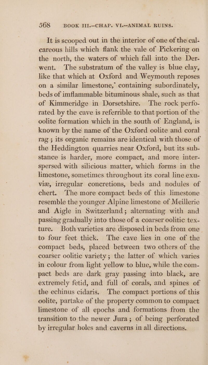 It is scooped out in the interior of one of the cal- careous hills which flank the vale of Pickering on the north, the waters of which fall into the Der- went. The substratum of the valley is blue clay, like that which at Oxford and Weymouth reposes on a similar limestone, containmg subordinately, beds of imflammable bituminous shale, such as that of Kimmeridge in Dorsetshire. The rock perfo- rated by the cave is referrible to that portion of the oolite formation which in the south of England, is known by the name of the Oxford oolite and coral rag ; its organic remains are identical with those of the Heddington quarries near Oxford, but its sub- stance is harder, more compact, and more inter- spersed with silicious matter, which forms in the limestone, sometimes throughout its coral line exu- vie, irregular concretions, beds and nodules of chert. ‘The more compact beds of this limestone resemble the younger Alpine limestone of Meillerie and Aigle in Switzerland; alternating with and passing gradually into those of a coarser oolitic tex- ture. Both varieties are disposed in beds from one. to four feet thick. The cave lies in one of the compact beds, placed between two others of the coarser oolitic variety ; the latter of which varies in colour from light yellow to blue, while the com- pact beds are dark gray passing into black, are extremely fetid, and full of corals, and spines of the echinus cidaris. ‘The compact portions of this oolite, partake of the property common to compact limestone of all epochs and formations from the transition to the newer Jura; of being perforated by irregular holes and caverns in all directions.