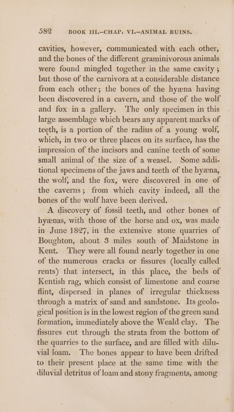 cavities, however, communicated with each other, and the bones of the different graminivorous animals were found mingled together in the same cavity ; but those of the carnivora at a considerable distance from each other; the bones of the hyzna having been discovered in a cavern, and those of the wolf and fox ina gallery. The only specimen in this large assemblage which bears any apparent marks of teeth, is a portion of the radius of a young wolf, which, in two or three places on its surface, has the impression of the incisors and canine teeth of some small animal of the size of a weasel. Some addi- tional specimens of the jaws and teeth of the hyena, the wolf, and the fox, were discovered in one of the caverns; from which cavity indeed, all the bones of the wolf have been derived. A discovery of fossil teeth, and other bones of hyzenas, with those of the horse and ox, was made in. June 1827, in the extensive stone quarries of Boughton, about 3 miles south of Maidstone in Kent. ‘They were all found nearly together in cne of the numerous cracks or fissures (locally called rents) that intersect, in this place, the beds of Kentish rag, which consist of limestone and coarse flint, dispersed in planes of irregular thickness through a matrix of sand and sandstone. Its geolo- gical position is in the lowest region of the green sand formation, immediately above the Weald clay. The fissures cut through the strata from the bottom of the quarries to the surface, and are filled with dilu- vial loam. ‘The bones appear to have been drifted to their present place at the same time with the diluvial detritus of loam and stony fragments, among