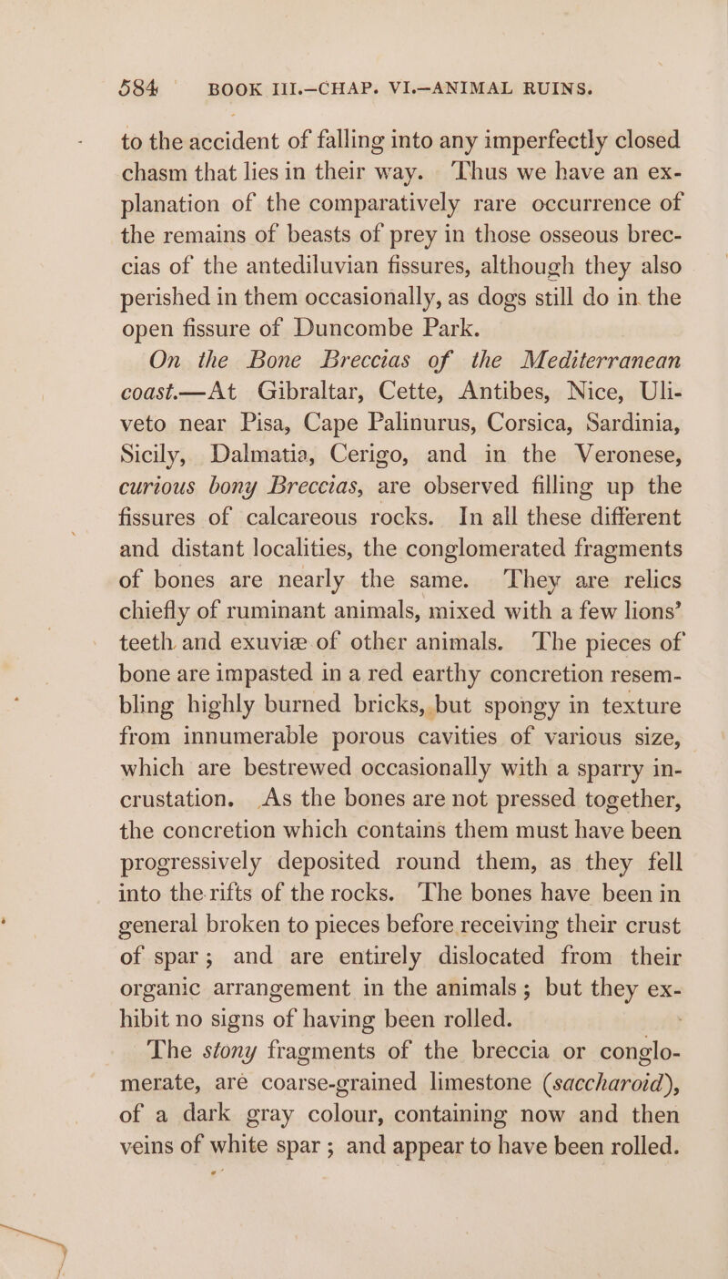 to the accident of falling into any imperfectly closed chasm that lies in their way. ‘Thus we have an ex- planation of the comparatively rare occurrence of the remains of beasts of prey in those osseous brec- cias of the antediluvian fissures, although they also perished in them occasionally, as dogs still do in the open fissure of Duncombe Park. On the Bone Breccias of the Mediterranean coast—At Gibraltar, Cette, Antibes, Nice, Uli- veto near Pisa, Cape Palinurus, Corsica, Sardinia, Sicily, Dalmatia, Cerigo, and in the Veronese, curious bony Breccias, are observed filling up the fissures of calcareous rocks. In all these different and distant localities, the conglomerated fragments of bones are nearly the same. They are relics chiefly of ruminant animals, mixed with a few lions’ teeth and exuvise.of other animals. The pieces of bone are impasted in a red earthy concretion resem- bling highly burned bricks, but spongy in texture from innumerable porous cavities of various size, which are bestrewed occasionally with a sparry in- crustation. As the bones are not pressed together, the concretion which contains them must have been progressively deposited round them, as they fell into the rifts of the rocks. ‘The bones have been in general broken to pieces before receiving their crust of spar; and are entirely dislocated from their organic arrangement in the animals; but they ex- hibit no signs of having been rolled. } The stony fragments of the breccia or conglo- merate, are coarse-grained limestone (saccharoid), of a dark gray colour, containing now and then veins of white spar ; and appear to have been rolled.