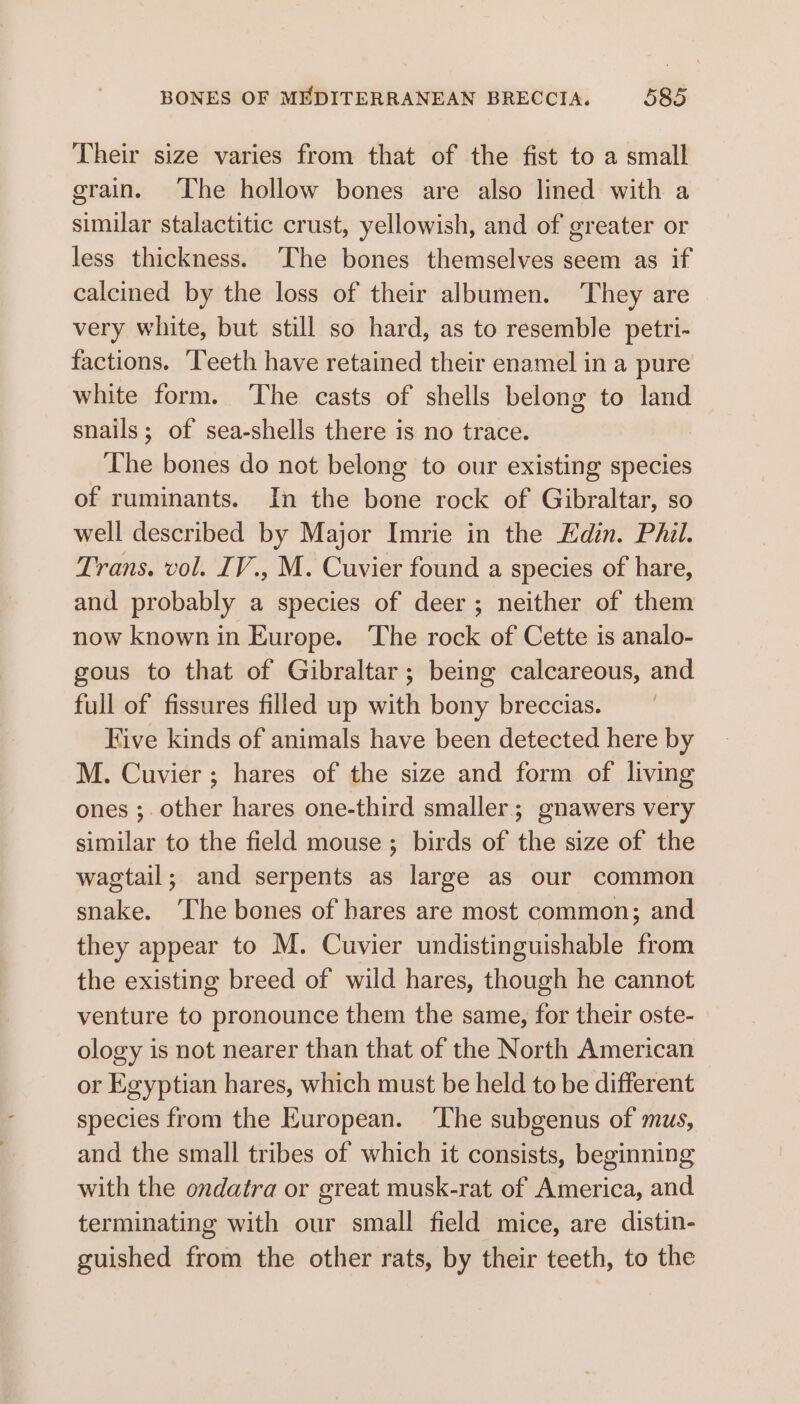 Their size varies from that of the fist to a small grain. The hollow bones are also lined with a similar stalactitic crust, yellowish, and of greater or less thickness. ‘The bones themselves seem as if calcined by the loss of their albumen. They are very white, but still so hard, as to resemble petri- factions. ‘Teeth have retained their enamel in a pure white form. ‘The casts of shells belong to land snails; of sea-shells there is no trace. The bones do not belong to our existing species of ruminants. In the bone rock of Gibraltar, so well described by Major Imrie in the Edin. Phil. Trans. vol. IV., M. Cuvier found a species of hare, and probably a species of deer; neither of them now known in Europe. The rock of Cette is analo- gous to that of Gibraltar; being calcareous, and full of fissures filled up with bony breccias. Five kinds of animals have been detected here by M. Cuvier; hares of the size and form of living ones ;. other hares one-third smaller; gnawers very similar to the field mouse; birds of the size of the wagtail; and serpents as large as our common snake. The bones of hares are most common; and they appear to M. Cuvier undistinguishable from the existing breed of wild hares, though he cannot venture to pronounce them the same, for their oste- ology is not nearer than that of the North American or Egyptian hares, which must be held to be different species from the European. ‘The subgenus of mus, and the small tribes of which it consists, beginning with the ondatra or great musk-rat of America, and terminating with our small field mice, are distin- guished from the other rats, by their teeth, to the