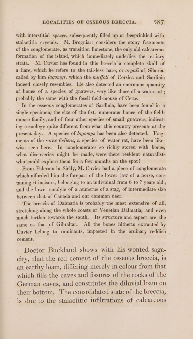 with interstitial spaces, subsequently filled up or besprinkled with stalactitic crystals. M. Brogniart considers the stony fragments of the conglomerate, as transition limestone, the only old calcareous formation of the island, which immediately underlies the tertiary strata. M. Cuvier has found in this breccia a complete skull of a hare, which he refers to the tail-less hare, or argali of Siberia, called by him lagomys, which the muffoli of Corsica and Sardinia indeed closely resembles. He also detected an enormous quantity of bones of a species of gnawers, very like those of a water-rat ; probably the same with the fossil field-mouse of Cette. In the osseous conglomerates of Sardinia, have been found in a single specimen, the size of the fist, numerous bones of the field- mouse family, and of four other species of small gnawers, indicat- ing a zoology quite different from what this country presents at the present day. A species of dagomys has been also detected. Frag-. ments of the sorex fodiens, a species of water rat, have been like- wise seen here. In conglomerates so richly stored with bones, what discoveries might be made, were there resident naturalists who could explore them for a few months on the spot ! From Palermo in Sicily, M. Cuvier had a piece of conglomerate which afforded him the forepart of the lower jaw of a horse, con- taining 6 incisors, belonging to an individual from 6 to 7 years old ; and the lower condyle of a humerus of a stag, of intermediate size between that of Canada and our common deer. The breccia of Dalmatia is probably the most extensive of all, stretching along the whole coasts of Venetian Dalmatia, and even much further towards the south. Its structure and aspect are the same as that of Gibraltar. All the bones hitherto extracted by Cuvier belong to ruminants, impasted in the ordinary reddish | cement. Doctor Buckland shows with his wonted saga- city, that the red cement of the osseous breccia, 1s an earthy loam, differing merely in colour from that which fills the caves and fissures of the rocks of the German caves, and constitutes the diluvial loam on their bottom. The consolidated state of the breccia, is due to the stalactitic infiltrations of calcareous