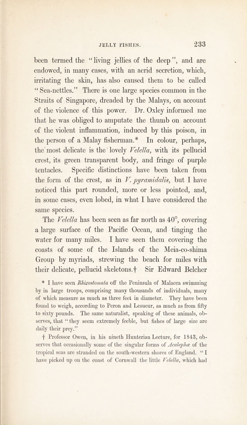 been termed the “living jellies of the deep”, and are endowed, in many cases, with an acrid secretion, which, irritating the skin, has also caused them to be called “ Sea-nettles.” There is one large species common in the Straits of Singapore, dreaded by the Malays, on account of the violence of this power. Dr. Oxley informed me that he was obliged to amputate the thumb on account of the violent inflammation, induced by this poison, in the person of a Malay fisherman.^ In colour, perhaps, the most delicate is the lovely Velella, with its pellucid crest, its green transparent body, and fringe of purple tentacles. Specific distinctions have been taken from the form of the crest, as in V. pyramidalis, but I have noticed this part rounded, more or less pointed, and, in some cases, even lobed, in what I have considered the same species. The Velella has been seen as far north as 40°, covering a large surface of the Pacific Ocean, and tinging the water for many miles. I have seen them covering the coasts of some of the Islands of the Meia-co-shima Group by myriads, strewing the beach for miles with their delicate, pellucid skeletons.f Sir Edward Belcher * I liave seen RMzostomata off the Peninsula of Malacca swimming by in large troops, comprising many thousands of individuals, many of which measure as much as three feet in diameter. They have been found to weigh, according to Peron and Lesueur, as much as from fifty to sixty pounds. The same naturalist, speaking of these animals, ob- serves, that “ they seem extremely feeble, but fishes of large size are daily their prey.” f Professor Owen, in his nineth Hunterian Lecture, for 1843, ob- serves that occasionally some of the singular forms of Acaleplia of the tropical seas are stranded on the south-western shores of England. “ I have picked up on the coast of Cornwall the little Velella, which had