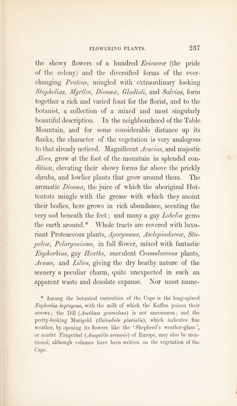 the showy flowers of a hundred Ericacea (the pride of the eolony) and the diversified forms of the ever- changing Proteas, mingled with extraordinary looking Staphelias, Myrtles, Biosmee, Gladioli, and Salvias, form together a rich and varied feast for the florist, and to the botanist, a collection of a mixed and most singularly beautiful description. In the neighbourhood of the Table Mountain, and for some considerable distance up its flanks, the character of the vegetation is very analogous to that already noticed. Magnificent Acacias, and majestic Aloes, grow at the foot of the mountain in splendid con- dition, elevating their showy forms far above the prickly shrubs, and lowlier plants that grow around them. The aromatic Biosma, the juice of which the aboriginal Hot- tentots mingle with the grease with which they anoint their bodies, here grows in rich abundance, scenting the very sod beneath the feet; and many a gay Lobelia gems the earth around.^ Whole tracts are covered with luxu- riant Proteaceous plants, Apocy?iums, Asclepiadacece, Sta- pelece. Pelargoniums, in full flower, mixed with fantastic Euphorbias, gay Heaths, succulent Crassulaceous plants, Arums, and Lilies, giving the dry heathy nature of the scenery a peculiar charm, quite unexpected in such an apparent waste and desolate expanse. Nor must nume- * Among tlie botanical curiosities of tlie Cape is tbe long-spined Euphorbia lieptagona, with tbe milk of wbicb the Kaffirs poison them aiTows; the Dill {Anethum graveoUns) is not uncommon; and the pretty-looking Marigold {Calendula pluvialis), which indicates fine weather, by opening its flowers like the ‘ Shepherd’s weather-glass or scarlet Pimpernel {Anagallis arvensis) of Europe, may also be men- tioned, although voliunes have been written on the vegetation of the Cape.