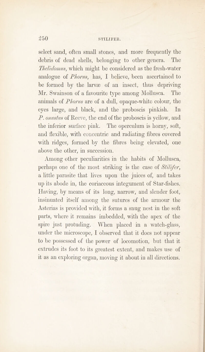 select sand, often small stones, and more frequently the debris of dead shells, belonging to other genera. The Thelidomus, which might be considered as the fresh-water analogue of Pltorus, has, I believe, been ascertained to be formed by the larvae of an insect, thus depriving Mr. Swainson of a favourite type among Mollusca. The animals of Phorus are of a dull, opaque-white colour, the eyes large, and black, and the proboscis pinkish. In P. onustus of Reeve, the end of the proboscis is yellow, and the inferior surface pink. The operculum is horny, soft, and flexible, with concentric and radiating fibres covered with ridges, formed by the fibres being elevated, one above the other, in succession. Among other peculiarities in the habits of Mollusca, perhaps one of the most striking is the case of Stilifer, a little parasite that lives upon the juices of, and takes up its abode in, the coriaceous integument of Star-fishes. Having, by means of its long, narrow, and slender foot, insinuated itself among the sutures of the armour the Asterias is provided with, it forms a snug nest in the soft parts, where it remains imbedded, with the apex of the spire just protuding. When placed in a watch-glass, under the microscope, I observed that it does not appear to be possessed of the power of locomotion, but that it extrudes its foot to its greatest extent, and makes use of it as an exploring organ, moving it about in all directions.