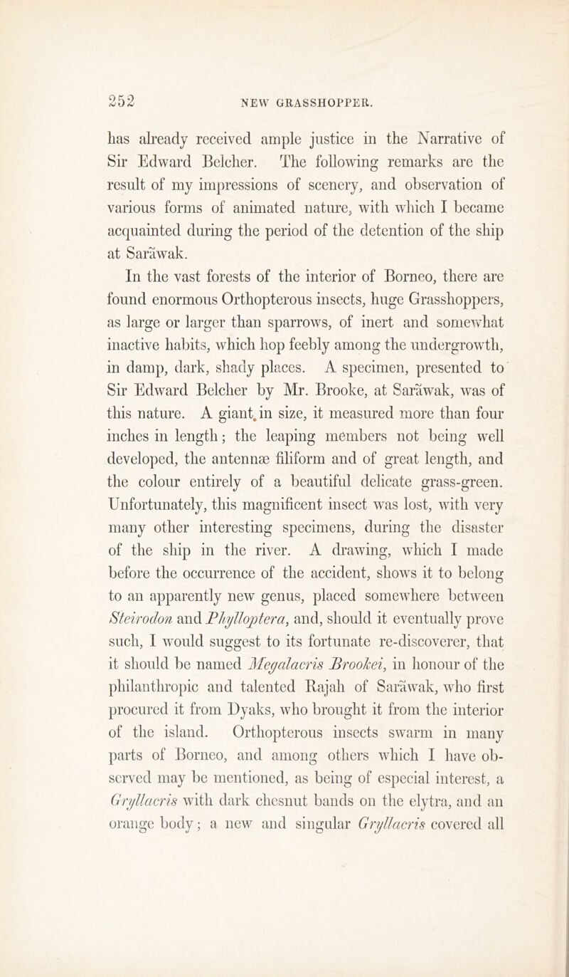 has already received ample justice in the Narrative of Sir Edward Belcher. The following remarks are the result of my impressions of scenery, and observation of various forms of animated nature, with which I became acquainted during the period of the detention of the ship at Sarawak. In the vast forests of the interior of Borneo, there are found enormous Orthopterous insects, huge Grasshoppers, as large or larger than sparrows, of inert and somev^^hat inactive habits, which hop feebly among the undergrowth, in damp, dark, shady places. A specimen, presented to' Sir Edward Belcher by Mr. Brooke, at Sarawak, was of this nature. A giant, in size, it measured more than four inches in length; the leaping members not being well developed, the antennae filiform and of great length, and the colour entirely of a beautiful delicate grass-green. Unfortunately, this magnificent insect was lost, with very many other interesting specimens, during the disaster of the ship in the river. A drawing, which I made before the occurrence of the accident, shows it to belong to an apparently new genus, placed somewhere between Steirodon and Phylloptera, and, should it eventually prove such, I w^ould suggest to its fortunate re-discoverer, that it should be named Meyalacris Brookei, in honour of the philanthropic and talented Bajah of Sarawak, who first procured it from Dyaks, who brought it from the interior of the island. Orthopterous insects swarm in many parts of Borneo, and among others which I have ob- served may be mentioned, as being of especial interest, a Gryllacris with dark chesnut bands on the elytra, and an orange body; a new and singular Gryllacris covered all