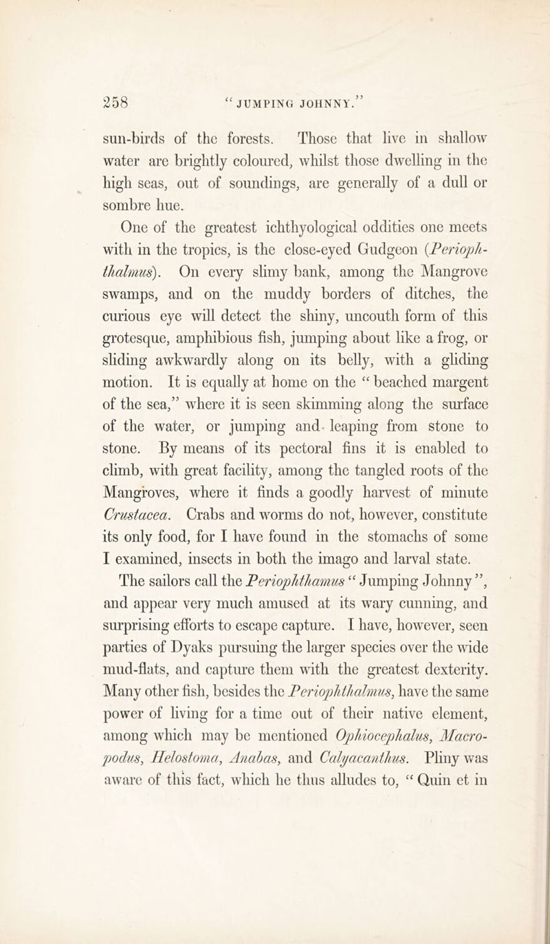 sun-birds of the forests. Those that live in shallow water are brightly coloured, whilst those dwelling in the high seas, out of soundings, are generally of a dull or sombre hue. One of the greatest ichthyological oddities one meets with in the tropics, is the close-eyed Gudgeon {Perioph- tJiahnus). On every slimy bank, among the Mangrove swamps, and on the muddy borders of ditches, the curious eye will detect the shiny, uncouth form of this grotesque, amphibious fish, jumping about like a frog, or sliding awkwardly along on its belly, with a gliding motion. It is equally at home on the “ beached margent of the sea,” where it is seen skimming along the surface of the water, or jumping and^ leaping from stone to stone. By means of its pectoral fins it is enabled to climb, with great faeility, among the tangled roots of the Mangroves, where it finds a goodly harvest of minute Crustacea. Crabs and worms do not, however, constitute its only food, for I have found in the stomachs of some I examined, insects in both the imago and larval state. The sailors call the PeriopJithamus Jumping Johnny ”, and appear very much amused at its wary cunning, and surprising efforts to escape capture. I have, however, seen parties of Dyaks pursuing the larger species over the wide mud-flats, and capture them with the greatest dexterity. Many other fish, besides the Perioplithalmus, have the same power of living for a time out of their native element, among which may be mentioned OphiocepJialus, Macro- jjoduSy llelostoma, Anahas, and Calyacanthus. Pliny was aware of this fact, which he thus alludes to, '' Quin et in