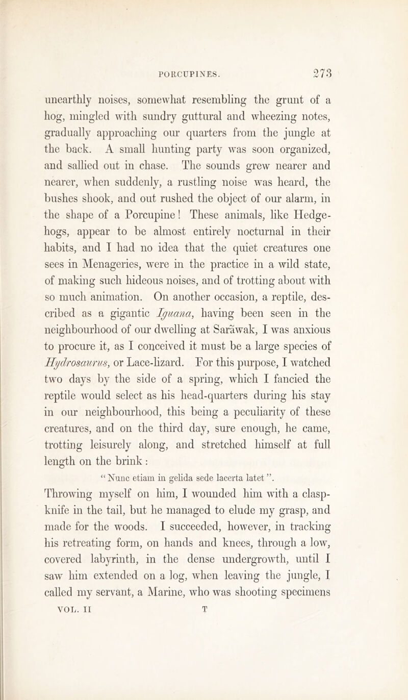 unearthly noises, somewhat resembling the grunt of a hog, mingled with sundry guttural and wheezing notes, gradually approaching om’ quarters from the jungle at the back. A small hunting party w^as soon organized, and sallied out in chase. The sounds grew nearer and nearer, when suddenly, a rustling noise Avas heard, the bushes shook, and out rushed the object of our alarm, in the shape of a Porcupine! These animals, like Hedge- hogs, appear to be almost entirely nocturnal in their habits, and I had no idea that the quiet creatures one sees in Menageries, were in the practice in a wild state, of making such hideous noises, and of trotting about with so much animation. On another occasion, a reptile, des- cribed as a gigantic Iguana, having been seen in the neighbourhood of our dwelling at Sarawak, I was anxious to procure it, as I conceived it must be a large species of Hgdrosaurus, or Lace-lizard. Por this purpose, I watched two days by the side of a spring, which I fancied the reptile Avould select as his head-quarters during his stay in our neighbourhood, this being a peculiarity of these creatm’es, and on the third day, sure enough, he came, trotting leisurely along, and stretched himself at full length on the brink : “ Nunc etiam in gelida sede lacerta latet ”. Throwing myself on him, I wounded him with a clasp- knife in the tail, but he managed to elude my grasp, and made for the woods. I succeeded, however, in tracking his retreating form, on hands and knees, through a low, covered labyrinth, in the dense undergroAvth, until I saw him extended on a log, when leaving the jungle, I called my servant, a Marine, who was shooting specimens VOL. ir T