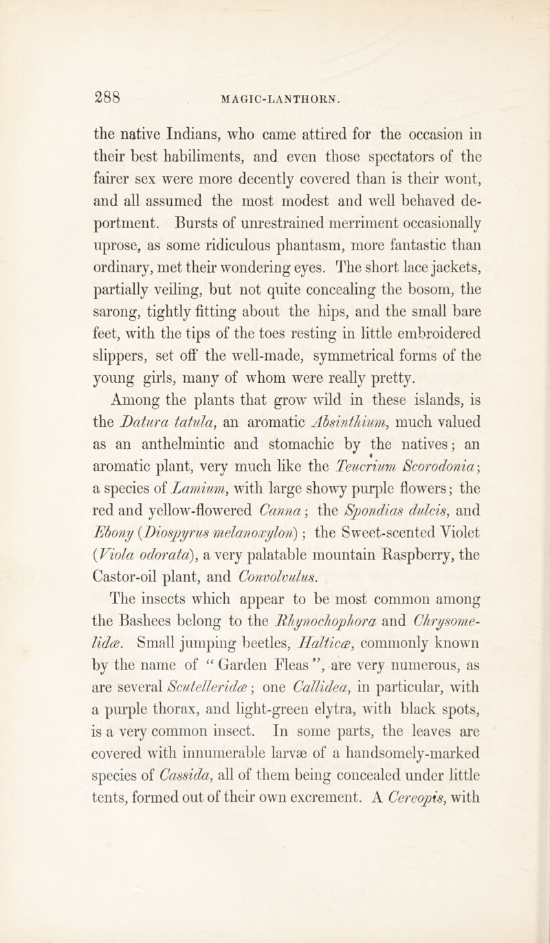 the native Indians, who came attired for the occasion in their best habiliments, and even those spectators of the fairer sex were more decently covered than is their wont, and all assumed the most modest and well behaved de- portment. Bursts of unrestrained merriment occasionally uprose, as some ridiculous phantasm, more fantastic than ordinary, met their wondering eyes. The short lace jackets, partially veiling, but not quite concealing the bosom, the sarong, tightly fitting about the hips, and the small bare feet, with the tips of the toes resting in little embroidered slippers, set off the well-made, symmetrical forms of the young girls, many of whom were really pretty. Among the plants that grow wild in these islands, is the Batura tatula, an aromatic Ahsintldmn, much valued as an anthelmintic and stomachic by the natives; an aromatic plant, very much like the Teucrium Bcorodonia^ a species of Lamimi, with large showy purple flowers; the red and yellow-flowered Canna \ the Spondias dulcis, and Ebony {Biosyjyrus melanoxylon); the Sweet-scented Violet {Viola odorata), a very palatable mountain Raspberry, the Castor-oil plant, and Convolvulus. The insects which appear to be most common among the Bashees belong to the Bliynocliopliora and Clirysome- lid(B. Small jumping beetles, HalticcB, commonly known by the name of “ Garden Fleas are very numerous, as are several Scutelleridce; one Callidea, in particular, with a purple thorax, and light-green elytra, with black spots, is a very common insect. In some parts, the leaves are covered with innumerable larvae of a handsomely-marked species of Cassida, all of them being concealed under little tents, formed out of their own excrement. A Cereopis, with
