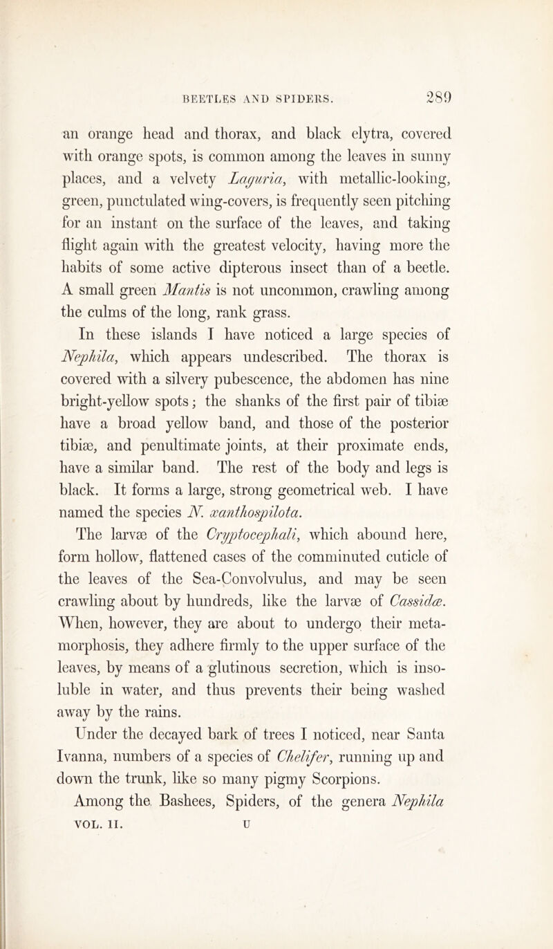 an orange head and thorax, and black elytra, covered with orange spots, is common among the leaves in sunny places, and a velvety Laguria, with metallic-looking, green, punctnlated wing-covers, is frequently seen pitching for an instant on the surface of the leaves, and taking flight again with the greatest velocity, having more the habits of some active dipterous insect than of a beetle. A small green Mantis is not uncommon, crawling among the culms of the long, rank grass. In these islands I have noticed a large species of Nepliila, which appears undescribed. The thorax is covered with a silvery pubescence, the abdomen has nine bright-yellow spots; the shanks of the first pair of tibiae have a broad yellow band, and those of the posterior tibiae, and penultimate joints, at their proximate ends, have a similar band. The rest of the body and legs is black. It forms a large, strong geometrical web. I have named the species N. xantliospilota. The larvae of the Cryptocepliali, which abound here, form hollow, flattened cases of the comminuted cuticle of the leaves of the Sea-Convolvulus, and may be seen crawling about by hundreds, like the larvae of Cassidce. When, however, they are about to undergo their meta- morphosis, they adhere firmly to the upper surface of the leaves, by means of a glutinous secretion, which is inso- luble in water, and thus prevents their being washed away by the rains. Under the decayed bark of trees I noticed, near Santa Ivanna, numbers of a species of Chelifer, running up and down the trunk, like so many pigmy Scorpions. Among the Bashees, Spiders, of the genera Nephila VOL. II. u