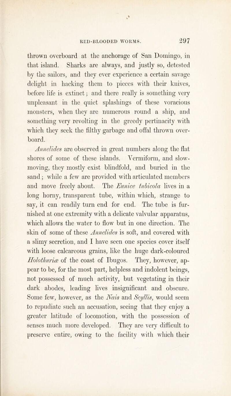thrown overboard at the anchorage of San Domingo, in that island. Sharks are always, and justly so, detested by the sailors, and they ever experience a certain savage delight in hacking them to pieces with their knives, before life is extinct; and there really is something very unpleasant in the quiet splashings of these voracious monsters, when they are numerous round a ship, and something very revolting in the greedy pertinacity with which they seek the filthy garbage and offal thrown over- board. Annelides are observed in great numbers along the flat shores of some of these islands. Vermiform, and slow- moving, they mostly exist blindfold, and birried in the sand; while a few are provided with articulated members and move freelv about. The Eunice tuhicola lives in a 1/ long horny, transparent tube, within which, strange to say, it can readily turn end for end. The tube is fur- nished at one extremity with a delicate valvular apparatus, which allows the water to flow but in one direction. The skin of some of these Annelides is soft, and covered with a slimy secretion, and I have seen one species cover itself with loose calcareous grains, like the huge dark-coloured Holotlmrice of the coast of Ibugos. They, however, ap- pear to be, for the most part, helpless and indolent beings, not possessed of much activity, but vegetating in their dark abodes, leading lives insignificant and obscure. Some few, however, as the Neds and Scyllis, would seem to repudiate such an accusation, seeing that they enjoy a greater latitude of locomotion, with the possession of senses much more developed. They are very difficult to preserve entire, owing to the facility with which their