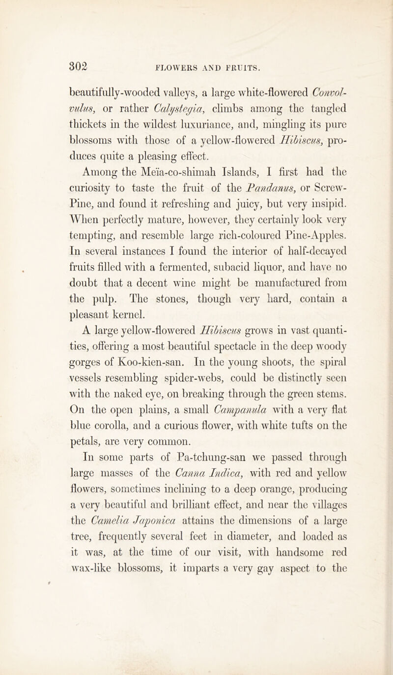 beautifully-wooded valleys, a large white-flowered Convol- vulus, or rather Calystegia, climbs among the tangled thickets in the wildest luxuriance, and, mingling its pure blossoms with those of a yellow-flowered Hibiscus, pro- duces quite a pleasing effect. Among the Me'ia-co-shimah Islands, I first had the curiosity to taste the fruit of the Fandanus, or Screw- Pine, and found it refreshing and juicy, but very insipid. When perfectly mature, however, they certainly look very tempting, and resemble large rich-coloured Pine-Apples. In several instances I found the interior of half-decayed fruits filled with a fermented, subacid liquor, and have no doubt that a decent wine might be manufactured from the pulp. The stones, though very hard, contain a pleasant kernel. A large yellow-flowered Hibiscus grows in vast quanti- ties, offering a most beautiful spectacle in the deep woody gorges of Koo-kien-san. In the young shoots, the spiral vessels resembling spider-webs, could be distinctly seen with the naked eye, on breaking through the green stems. On the open plains, a small Campanula with a very flat blue corolla, and a cmious flower, with white tufts on the petals, are very common. In some parts of Pa-tchung-san we passed through large masses of the Canna Inclica, with red and yellow flowers, sometimes inclining to a deep orange, producing a very beautiful and brilliant effect, and near the villages the Camelia Japonica attains the dimensions of a large tree, frequently several feet in diameter, and loaded as it was, at the time of our visit, with handsome red wax-like blossoms, it imparts a very gay aspect to the
