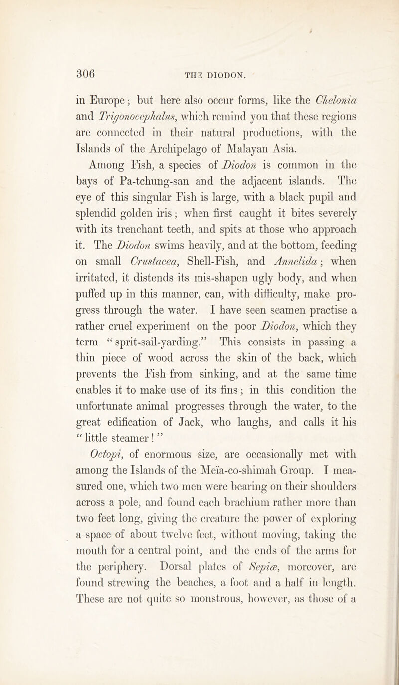 in Europe; but here also occur forms, like the Chelonia and Tri^onocejjJialus, which remind you that these regions are connected in their natural productions, with the Islands of the Archipelago of Malayan Asia. Among Eish, a species of Biodon is common in the bays of Pa-tchung-san and the adjacent islands. The eye of this singular Eish is large, with a black pupil and splendid golden iris; when first caught it bites severely with its trenchant teeth, and spits at those who approach it. The Biodon swims heavily, and at the bottom, feeding on small Crustacea, Shell-Eish, and Annelida; when irritated, it distends its mis-shapen ugly body, and when puffed up in this manner, can, with difficulty, make pro- gress through the water. I have seen seamen practise a rather cruel experiment on the poor Biodon, which they term sprit-sail-yarding.’’ This consists in passing a thin piece of wood across the skin of the back, which prevents the Eish from sinking, and at the same time enables it to make use of its fins; in this condition the unfortunate animal progresses through the water, to the great edification of Jack, who laughs, and calls it his '' little steamer ! ” Octopi, of enormous size, are occasionally met with among the Islands of the Meia-co-shimah Group. I mea- sured one, which two men were bearing on their shoulders across a pole, and found each brachium rather more than two feet long, giving the creature the power of exploring a space of about twelve feet, without moving, taking the mouth for a central point, and the ends of the arms for the periphery. Dorsal plates of Sejjice, moreover, are found strewing the beaches, a foot and a half in length. These arc not quite so monstrous, however, as those of a