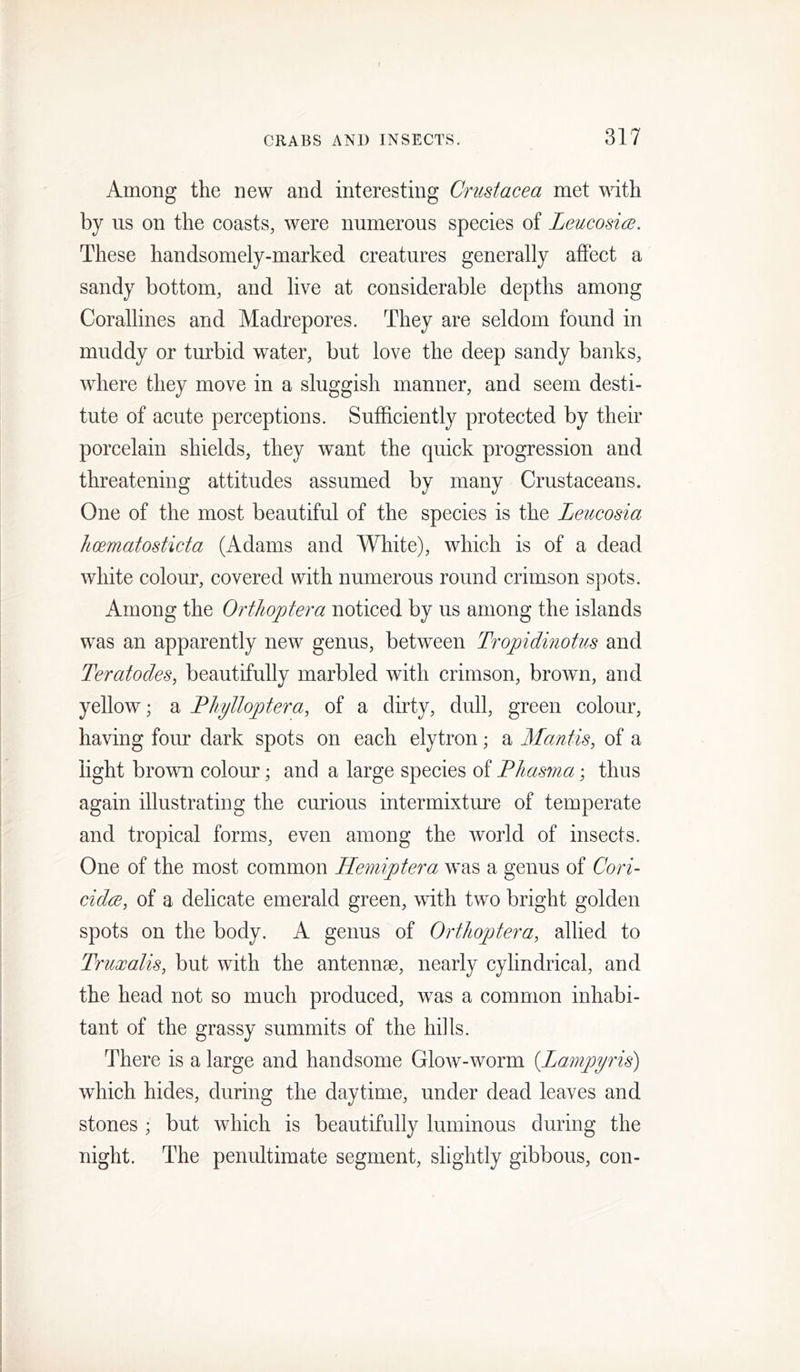 Among the new and interesting Crustacea met with by us on the coasts, were numerous species of Leucosire. These handsomely-marked creatures generally affect a sandy bottom, and live at considerable depths among Corallines and Madrepores. They are seldom found in muddy or turbid water, but love the deep sandy banks, where they move in a sluggish manner, and seem desti- tute of acute perceptions. Sufficiently protected by their porcelain shields, they want the quick progression and threatening attitudes assumed by many Crustaceans. One of the most beautiful of the species is the Leucosia hcematosticta (Adams and White), which is of a dead white colour, covered with numerous round crimson spots. Among the Orthoptera noticed by us among the islands was an apparently new genus, between Tropidinotiis and Teratodes, beautifully marbled with crimson, brown, and yellow; a Fhylloptera, of a dirty, dull, green colour, having four dark spots on each elytron; a Mantis, of a light brown colour; and a large species of PJiasma; thus again illustrating the curious intermixture of temperate and tropical forms, even among the world of insects. One of the most common Hemiptera was a genus of Cori- cidce, of a delicate emerald green, with two bright golden spots on the body. A genus of Orthoptera, allied to Truxalis, but with the antennae, nearly cylindrical, and the head not so much produced, was a common inhabi- tant of the grassy summits of the hills. There is a large and handsome Glow-worm {Lampyris) which hides, during the daytime, under dead leaves and stones ; but which is beautifully luminous during the night. The penultimate segment, slightly gibbous, con-
