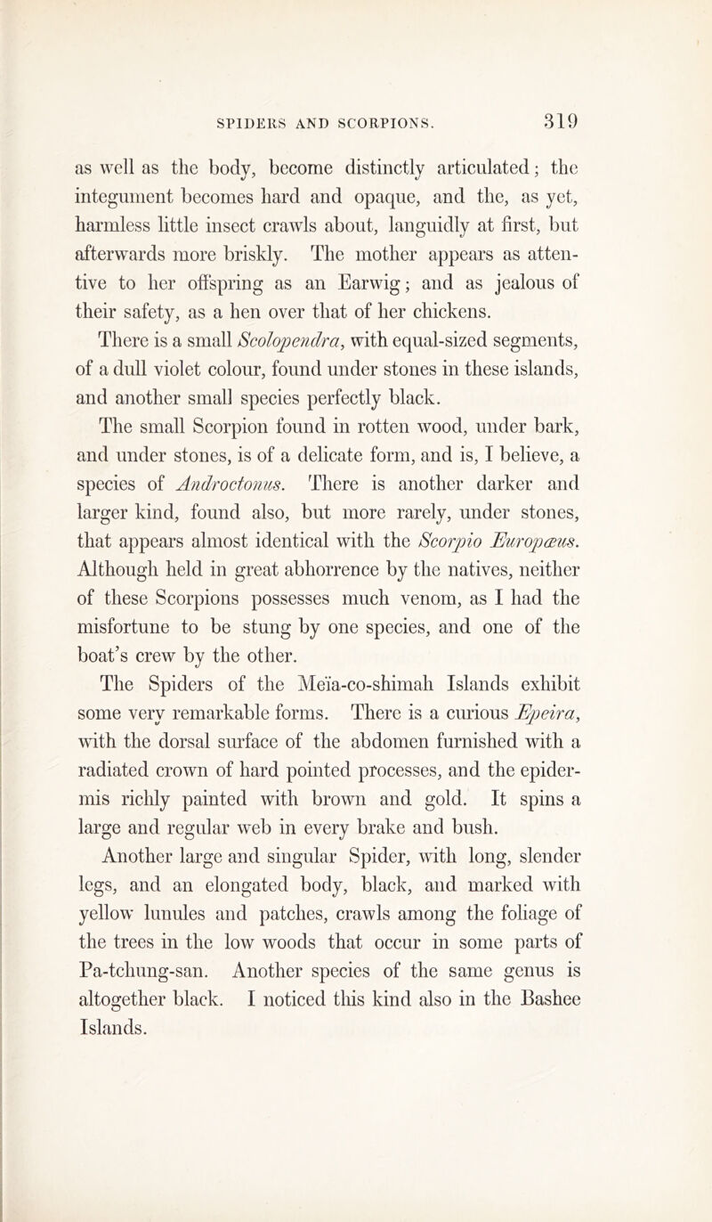 as well as the body, become distinctly articulated; the integument becomes hard and opaque, and the, as yet, harmless little insect crawls about, languidly at first, but afterwards more briskly. The mother appears as atten- tive to her ofispring as an Earwig; and as jealous of their safety, as a hen over that of her chickens. There is a small Scolopendra, with equal-sized segments, of a dull violet colour, found under stones in these islands, and another small species perfectly black. The small Scorpion found in rotten wood, under bark, and under stones, is of a delicate form, and is, I believe, a species of Androctonus. There is another darker and larger kind, found also, but more rarely, under stones, that appears almost identical with the Scorpio JEuropmis. Although held in great abhorrence by the natives, neither of these Scorpions possesses much venom, as I had the misfortune to be stung by one species, and one of the boat’s crew by the other. The Spiders of the Meia-co-shimah Islands exhibit some very remarkable forms. There is a curious Epeira, with the dorsal surface of the abdomen furnished with a radiated crown of hard pointed processes, and the epider- mis richly painted with brown and gold. It spins a large and regular web in every brake and bush. Another large and singular Spider, with long, slender legs, and an elongated body, black, and marked with yellow lunules and patches, crawls among the foliage of the trees in the low woods that occur in some parts of Pa-tchung-san. Another species of the same genus is altogether black. I noticed this kind also in the Bashee Islands.