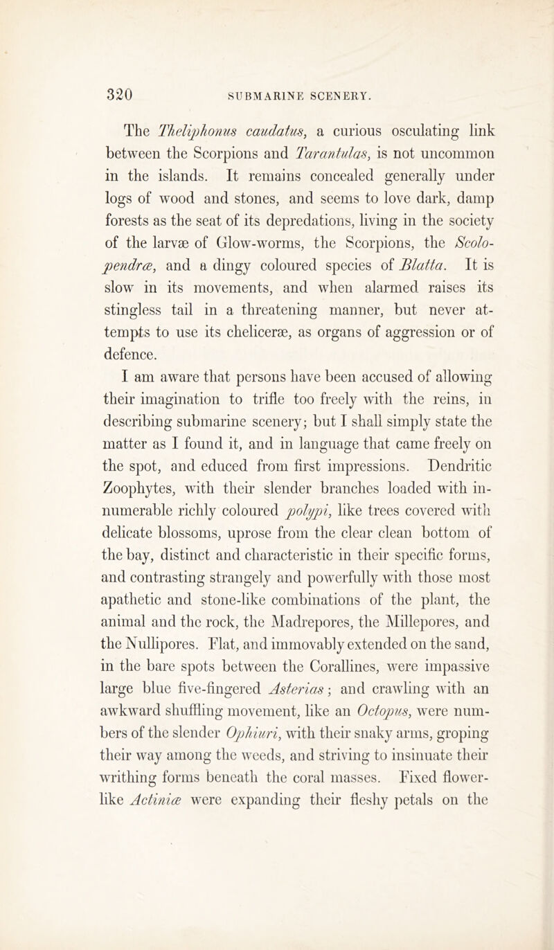 The Theliphonus caudatus, a curious osculating link between the Scorpions and Tarantulas, is not uncommon in the islands. It remains concealed generally under logs of wood and stones, and seems to love dark, damp forests as the seat of its depredations, living in the society of the larvae of Glow-worms, the Scorpions, the Bcolo- pendrcB, and a dingy coloured species of Blatta. It is slow in its movements, and when alarmed raises its stingless tail in a threatening manner, but never at- tempts to use its chelicerae, as organs of aggression or of defence. I am aware that persons have been accused of allowing their imagination to trifle too freely with the reins, in describing submarine scenery; but I shall simply state the matter as I found it, and in language that came freely on the spot, and educed from first impressions. Dendritic Zoophytes, with their slender branches loaded with in- numerable richly coloured polypi, like trees covered with delicate blossoms, uprose from the clear clean bottom of the bay, distinct and characteristic in their specific forms, and contrasting strangely and powerfully with those most apathetic and stone-like combinations of the plant, the animal and the rock, the Madrepores, the Millepores, and the Nullipores. Flat, and immovably extended on the sand, in the bare spots between the Corallines, were impassive large blue five-fingered Asterias; and crawling with an awkward shuffling movement, like an Octopus, were num- bers of the slender Ophiuri, with their snaky arms, groping their way among the weeds, and striving to insinuate their writhing forms beneath the coral masses. Fixed flower- like Actinice were expanding their fleshy petals on the