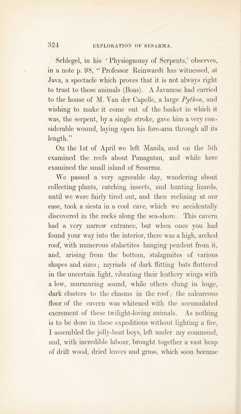 Schlegel, in his ‘ Physiognomy of Serpents/ observes, in a note p. 98, ‘‘ Professor Reinwardt has witnessed, at Java, a spectacle which proves that it is not always right to trust to these animals (Boas). A Javanese had carried to the house of M. Van der Capelle, a large Python, and wishing to make it come out of the basket in which it was, the serpent, by a single stroke, gave him a very con- siderable wound, laying open his fore-arm through all its length.’’ On the 1st of April we left Manila, and on the 5th examined the reefs about Panagatan, and while here examined the small island of Sesarma. We passed a very agreeable day, wandering about collecting plants, catching insects, and hunting lizards, until we were fairly tired out, and then reclining at our ease, took a siesta in a cool cave, which we accidentally discovered in the rocks along the sea-shore. This cavern had a very narrow entrance, but when once you had found your way into the interior, there was a high, arched roof, with numerous stalactites hanging pendent from it, and, arising from the bottom, stalagmites of various shapes and sizes; myriads of dark flitting bats fluttered in the uncertain light, vibrating their leathery wings with a low, murmuring sound, while others clung in huge, dark clusters to the chasms in the roof; the calcareous floor of the cavern was whitened with the accumulated excrement of these twilight-loving animals. As nothing is to be done in these expeditions without lighting a fire, I assembled the jolly-boat boys, left under my command, and, with incredible labour, brought together a vast heap of drift wood, dried leaves and grass, which soon became