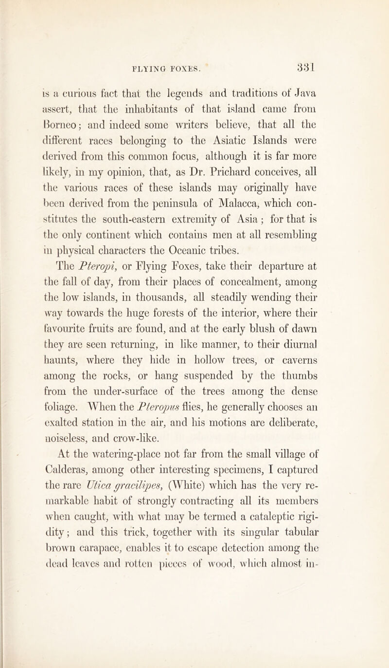IS a curious fact that the legends and traditions of Java assert, that the inhabitants of that island came from Borneo; and indeed some writers believe, that all the different races belonging to the Asiatic Islands were derived from this common focus, although it is far more likely, in my opinion, that, as Dr. Prichard conceives, all the various races of these islands may originally have been derived from the peninsula of Malacca, which con- stitutes the south-eastern extremity of Asia; for that is the only continent which contains men at all resembling in physical characters the Oceanic tribes. The Pteropi, or Plying Poxes, take their departure at the fall of day, from their places of concealment, among the low islands, in thousands, aU steadily wending their way towards the huge forests of the interior, where their favourite fruits are found, and at the early blush of dawn they are seen returning, in like manner, to their diurnal haunts, where they hide in hollow trees, or caverns among the rocks, or hang suspended by the thumbs from the under-surface of the trees among the dense foliage. When the Pteropus flies, he generally chooses an exalted station in the air, and his motions are deliberate, noiseless, and crow-like. At the watering-place not far from the small village of Calderas, among other interesting specimens, I captured the rare Utica gracilipes, (White) which has the very re- markable habit of strongly contracting all its members when caught, with what may be termed a cataleptic rigi- dity ; and this trick, together with its singular tabular brown carapace, enables it to escape detection among the dead leaves and rotten pieces of wood, which almost in-