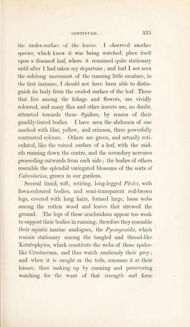 tho iinder-siirfacc of the leaves. \ observed another species, which knew it w^as being ivatched, place itsell’ upon a diseased leaf, where it remained quite stationary until after I had taken my departure ; and had I not seen the sidelong movement of the cunning little creature, in the first instance, I should not have been able to distin- guish its body from the eroded surface of the leaf. Those that live among the foliage and flowers, are vividly coloured, and many flies and other insects are, no doubt, attracted towards these Spiders, by reason of their gaudily-tinted bodies. I have seen the abdomen of one marked with lilac, yellow, and crimson, three powerfully contrasted colours. Others are green, and actually reti- culated, like the veined surface of a leaf, with the mid- rib running down the centre, and the secondary nervures proceeding outwards from each side; the bodies of others resemble the splendid variegated blossoms of the sorts of Calceolarias, grown in our gardens. Several timid, soft, retiring, long-legged Pholci, with fawn-coloured bodies, and semi-transparent red-brown legs, covered with long hahs, formed large, loose webs among the rotten wood and leaves that strewed the ground. The legs of these arachnidans appear too weak to support their bodies in running; therefore they resemble their aquatic marine analogues, the Pycnogonidce, which remain stationary among the tangled and thread-like Keratophytes, which constitute the webs of those spider- like Crustaceans, and thus watch cautiously their prey; and when it is caught m the toils, consume it at their leisure, thus making up by cunning and persevering watching for the want of that strength and force