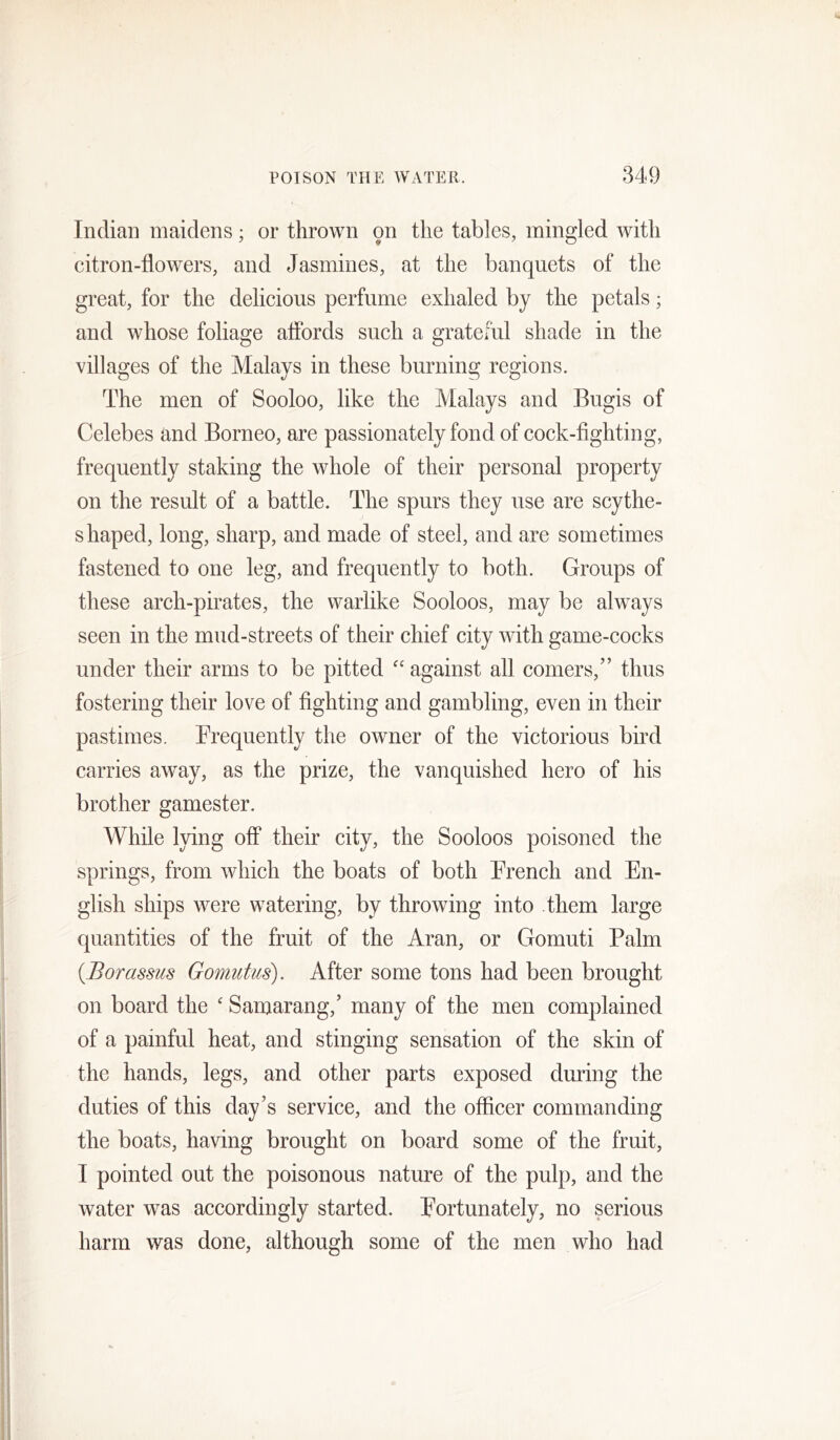 Indian maidens; or thrown on the tables, mingled with citron-flowers, and Jasmines, at the banquets of the great, for the delicious perfume exhaled by the petals; and whose foliage aflbrds such a grateful shade in the villages of the Malays in these burning regions. The men of Sooloo, like the Malays and Bngis of Celebes and Borneo, are passionately fond of cock-flghting, frequently staking the whole of their personal property on the result of a battle. The spurs they use are scythe- shaped, long, sharp, and made of steel, and are sometimes fastened to one leg, and frequently to both. Groups of these arch-pirates, the warlike Sooloos, may be always seen in the mud-streets of their chief city with game-cocks under their arms to be pitted against all comers,” thus fostering their love of fighting and gambling, even in their pastimes. Frequently the owner of the victorious bird carries away, as the prize, the vanquished hero of his brother gamester. While lying ofl* their city, the Sooloos poisoned the springs, from which the boats of both French and En- glish ships were watering, by throwing into them large quantities of the fruit of the Aran, or Gomuti Palm [Borassus Gomutus). After some tons had been brought on board the ' Samarang,’ many of the men complained of a painful heat, and stinging sensation of the skin of the hands, legs, and other parts exposed during the duties of this day’s service, and the officer commanding the boats, having brought on board some of the fruit, I pointed out the poisonous nature of the pulp, and the water was accordingly started. Fortunately, no serious harm was done, although some of the men who had