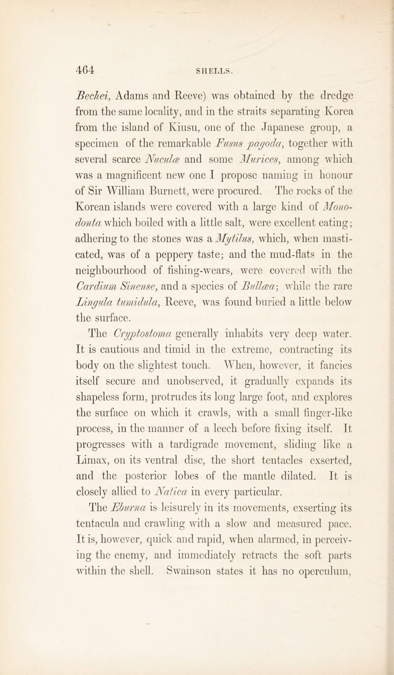 BecJiei, Adams and Reeve) was obtained by the dredge from the same locality, and in the straits separating Korea from the island of Kiusu, one of the Japanese group, a specimen of the remarkable Fiisus pagoda, together with several scarce NucuIob and some Murices, among which was a magnificent new one I propose naming in honour of Sir William Burnett, were procured. The rocks of the Korean islands were covered with a large kind of Mono- donta which boiled with a little salt, were excellent eating; adhering to the stones was ^Mytilus, which, when masti- cated, was of a peppery taste; and the mud-flats in the neighbourhood of fishing-wears, were covered with the Cardiiim Sinense, and a species of Bidlcea; while the rare Lingula tumidula, Reeve, was found buried a little below the surface. The Cryptostoma generally inhabits very deep water. It is cautious and timid in the extreme, contracting its body on the slightest touch. When, however, it fancies itself secure and unobserved, it gradually expands its shapeless form, protrudes its long large foot, and explores the surface on which it crawls, with a small finger-like process, in the manner of a leech before fixing itself. It progresses with a tardigrade movement, sliding like a Limax, on its ventral disc, the short tentacles exserted, and the posterior lobes of the mantle dilated. It is closely allied to Natica in every particular. The Ehurna is leisurely in its movements, exserting its tentacula and crawling with a slow and measured pace. It is, however, quick and rapid, when alarmed, in perceiv- ing the enemy, and immediately retracts the soft parts within the shell. Swainson states it has no operculum.