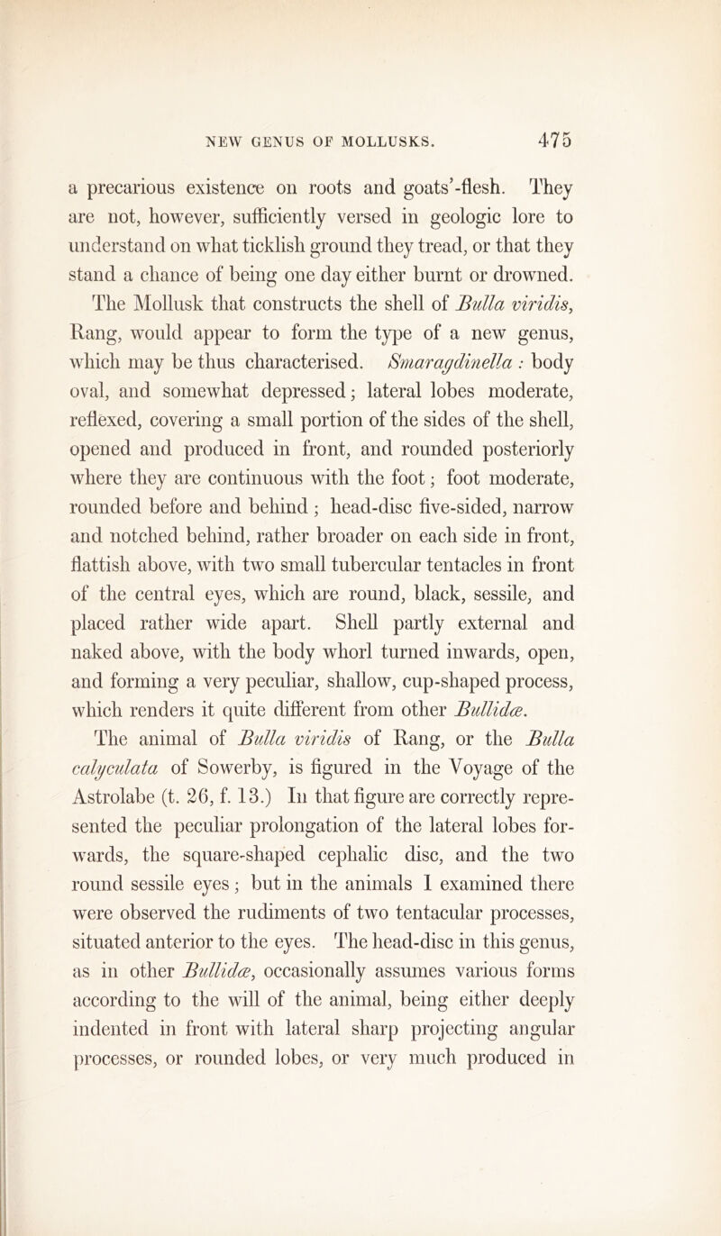 a precarious existence on roots and goats’-flesh. They are not, however, sufficiently versed in geologic lore to understand on what ticklish ground they tread, or that they stand a chance of being one day either burnt or drowned. The Mollusk that constructs the shell of Bulla viridis, Rang, would appear to form the type of a new genus, which may be thus characterised. Smaragdinella : body oval, and somewhat depressed; lateral lobes moderate, rellexed, covering a small portion of the sides of the shell, opened and produced in front, and rounded posteriorly where they are continuous with the foot; foot moderate, rounded before and behind ; head-disc five-sided, narrow and notched behind, rather broader on each side in front, flattish above, with two small tubercular tentacles in front of the central eyes, which are round, black, sessile, and placed rather wide apart. Shell partly external and naked above, with the body whorl turned inwards, open, and forming a very peculiar, shallow, cup-shaped process, which renders it quite different from other Bullidce. The animal of Bulla viridis of Rang, or the Bulla calyculata of Sowerby, is figured in the Voyage of the Astrolabe (t. 26, f. 13.) In that figure are correctly repre- sented the peculiar prolongation of the lateral lobes for- wards, the square-shaped cephalic disc, and the two round sessile eyes; but in the animals 1 examined there were observed the rudiments of two tentacular processes, situated anterior to the eyes. The head-disc in this genus, as in other Bullida, occasionally assumes various forms according to the will of the animal, being either deeply indented in front with lateral sharp projecting angular |)rocesses, or rounded lobes, or very much produced in