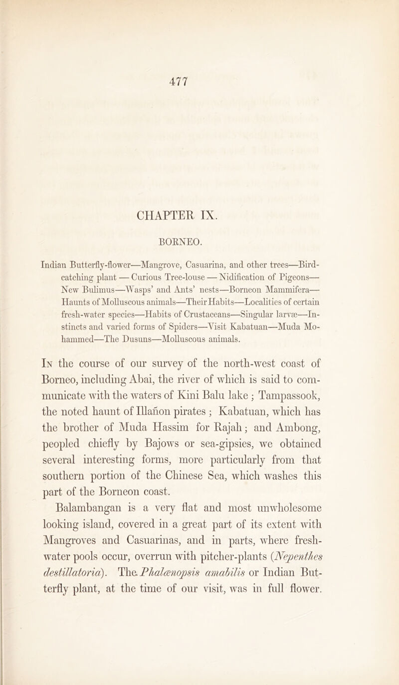 CHAPTER IX. BORNEO. Indian ButteiHy-flower—Mangrove, Casuarina, and other trees—Bird- catching plant — Curious Tree-louse — Nidification of Pigeons— New Bulimus—Wasps’ and Ants’ nests—Borneon Mammifera— Haunts of MoUuscous animals—Their Habits—Localities of certain fresh-water species—Habits of Crustaceans—Singidar larvae—In- stincts and varied forms of Spiders—Visit Kabatuan—Muda Mo- hammed—The Husuns—Molluscous animals. In the course of our survey of the north-west coast of Borneo, including Abai, the river of which is said to com- municate with the waters of Kini Balu lake ; Tampassook, the noted haunt of Illahon pirates ; Kabatuan, which has the brother of Muda Hassim for Bajali; and Ambong, peopled chiefly by Bajows or sea-gipsies, we obtained several interesting forms, more particularly from that southern portion of the Chinese Sea, which washes this part of the Borneon coast. Balambangan is a very flat and most unwholesome looking island, covered in a great part of its extent with Mangroves and Casuarinas, and in parts, where fresh- water pools occur, overrun with pitcher-plants {Nepenthes destillatorid). Phaleenopsis amahilis or Indian But- terfly plant, at the time of our visit, was in full flower.