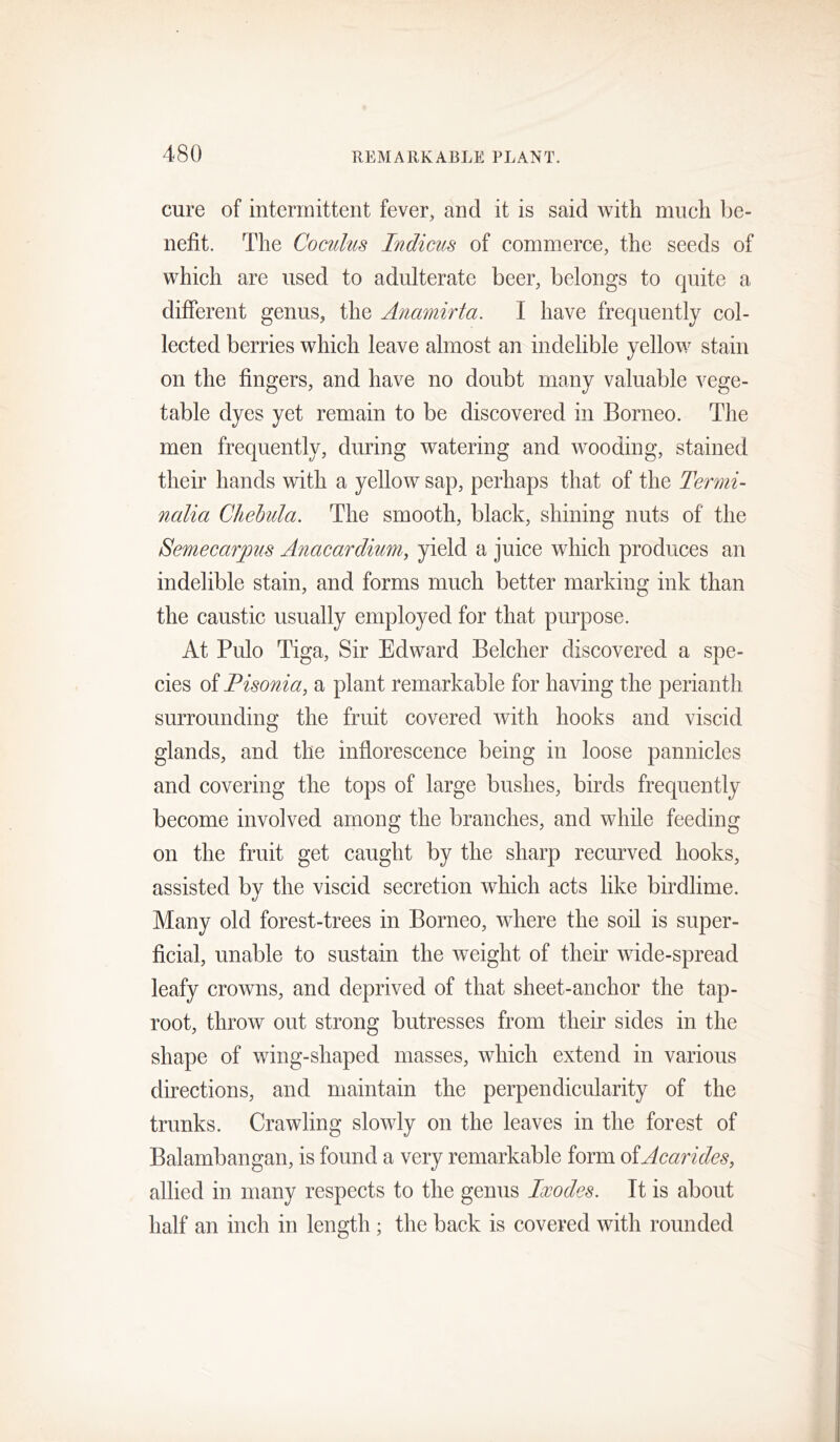 cure of intermittent fever, and it is said with much be- nefit. The Coculus Indicus of commerce, the seeds of which are used to adulterate beer, belongs to quite a different genus, the Anamirta. I have frequently col- lected berries which leave almost an indelible yellow stain on the fingers, and have no doubt many valuable vege- table dyes yet remain to be discovered in Borneo. The men frequently, during watering and wooding, stained their hands with a yellow sap, perhaps that of the Termi- nalia Chehula. The smooth, black, shining nuts of the Semecarpus Anacardium, yield a juice which produces an indelible stain, and forms much better marking ink than the caustic usually employed for that purpose. At Pulo Tiga, Sir Edward Belcher discovered a spe- cies of Pisonia, a plant remarkable for having the perianth surrounding the fruit covered with hooks and viscid glands, and the inflorescence being in loose pannicles and covering the tops of large bushes, birds frequently become involved among the branches, and while feeding on the fruit get caught by the sharp recurved hooks, assisted by the viscid secretion which acts like birdlime. Many old forest-trees in Borneo, where the soil is super- ficial, unable to sustain the weight of their wide-spread leafy crowns, and deprived of that sheet-anchor the tap- root, throw out strong butresses from their sides in the shape of wing-shaped masses, which extend in various directions, and maintain the perpendicularity of the trunks. Crawling slowly on the leaves in the forest of Balambangan, is found a very remarkable form olAcarides, allied in many respects to the genus Ixodes. It is about half an inch in length ; the back is covered with rounded