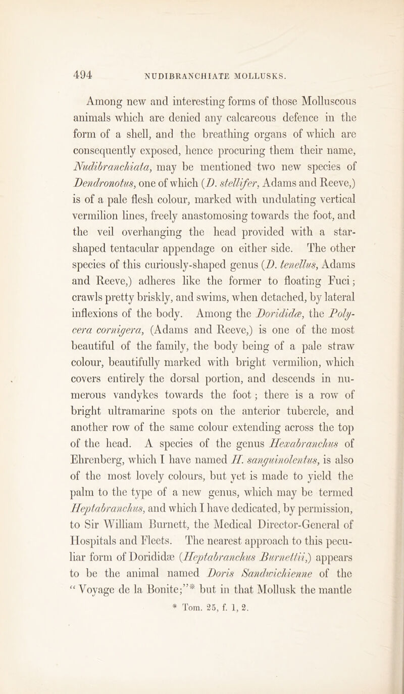 Among new and interesting forms of those Molluscous animals which are denied any calcareous defence in the form of a shell, and the breathing organs of which are consequently exposed, hence procuring them their name, Nudihrancliiata, may be mentioned two new species of Bendronotus, one of which [B. stellifer, Adams and Reeve,) is of a pale flesh colour, marked with undulating vertical vermilion lines, freely anastomosing towards the foot, and the veil overhanging the head provided with a star- shaped tentacular appendage on either side. The other species of this curiously-shaped genus {B. tenellus, Adams and Reeve,) adheres like the former to floating Ruci; crawls pretty briskly, and swims, when detached, by lateral inflexions of the body. Among the Boridida, the Boly- cera corniyera, (Adams and Reeve,) is one of the most beautiful of the family, the body being of a pale straw colour, beautifully marked with bright vermilion, which covers entirely the dorsal portion, and descends in nu- merous Vandykes towards the foot; there is a row of bright ultramarine spots on the anterior tubercle, and another row of the same colour extending across the top of the head. A species of the genus Hexahranclms of Ehrenberg, which I have named H. sanyuinolentus, is also of the most lovely colours, but yet is made to yield the palm to the type of a new genus, which may be termed Heptabranclms, and which I have dedicated, by permission, to Sir William Burnett, the Medical Director-General of Hospitals and Eleets. The nearest approach to this pecu- liar form of Dorididae {Heptahranchus Burnetfii,) appears to be the animal named Boris Bandwicliienne of the Voyage de la Bonite;”'^ but in that Mollusk the mantle * Torn. 25, f. 1, 2.