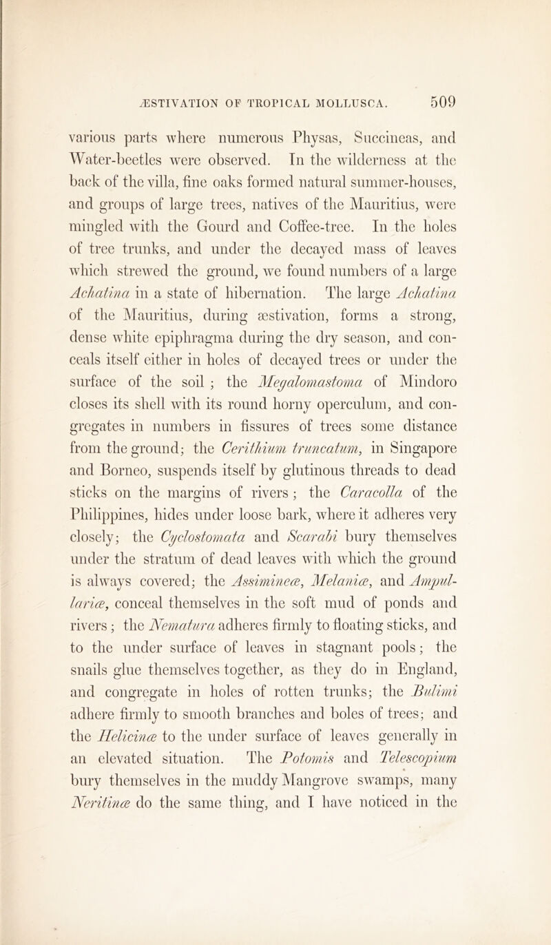 various parts where numerous Physas, Siiccineas, and Water-beetles were observed. In the wilderness at the back of the villa, fine oaks formed natural summer-houses, and groups of large trees, natives of the Mauritius, were mingled with the Gourd and Coffee-tree. In the holes of tree trunks, and under the decayed mass of leaves which strewed the ground, we found numbers of a large Acliatina in a state of hibernation. The large Aclicitina of the Mauritius, during aestivation, forms a strong, dense white epiphragma during the dry season, and con- ceals itself either in holes of decayed trees or under the surface of the soil ; the Megalomastoma of Mindoro closes its shell with its round horny operculum, and con- gregates in numbers in fissures of trees some distance from the ground; the Ceritliium triincatimi, in Singapore and Borneo, suspends itself by glutinous threads to dead sticks on the margins of rivers ; the Caracolla of the Philippines, hides under loose bark, where it adheres very closely; the Cy do stomata and Scarahi bury themselves under the stratum of dead leaves with which the ground is always covered; the Assiminece, Melajiia, and Ampul- laricE, conceal themselves in the soft mud of ponds and rivers; the Nematura adheres firmly to floating sticks, and to the under surface of leaves in stagnant pools; the snails glue themselves together, as they do in England, and congregate in holes of rotten trunks; the JBidimi adhere firmly to smooth branches and boles of trees; and the IlelicincB to the under surface of leaves generally in an elevated situation. The Fotornis and Telescopium bury themselves in the muddy Mangrove swamps, many Neritince do the same thing, and I have noticed in the