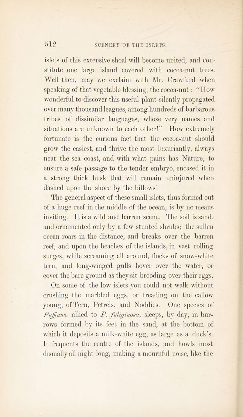 islets of this extensive shoal will become united, and con- stitute one large island covered with cocoa-nut trees. Well then, may we exclaim with Mr. Crawfurd when speaking of that vegetable blessing, the cocoa-nut: “How wonderful to discover this useful plant silently propagated over many thousand leagues, among hundreds of barbarous tribes of dissimilar languages, whose very names and situations are unknown to each other!” How extremely fortunate is the curious fact that the cocoa-nut should grow the easiest, and thrive the most luxuriantly, always near the sea coast, and with what pains has Nature, to ensure a safe passage to the tender embryo, encased it in a strong thick husk that will remain uninjured when dashed upon the shore by the billows! The general aspect of these small islets, thus formed out of a huge reef in the middle of the ocean, is by no means inviting. It is a wild and barren scene. The soil is sand, and ornamented only by a few stunted shrubs; the sullen ocean roars in the distance, and breaks over the barren reef, and upon the beaches of the islands, in vast rolling surges, while screaming all around, flocks of snow-white tern, and long-winged gulls hover over the water, or cover the bare ground as they sit brooding over their eggs. On some of the low islets you could not walk without crushing the marbled eggs, or treading on the callow young, of Tern, Petrels, and Noddies. One species of Puffinus, allied to P. fiiliginosa, sleeps, by day, in bur- rows formed by its feet in the sand, at the bottom of which it deposits a milk-white egg, as large as a duck’s. It frequents the centre of the islands, and howls most dismally all night long, making a mournfid noise, like the