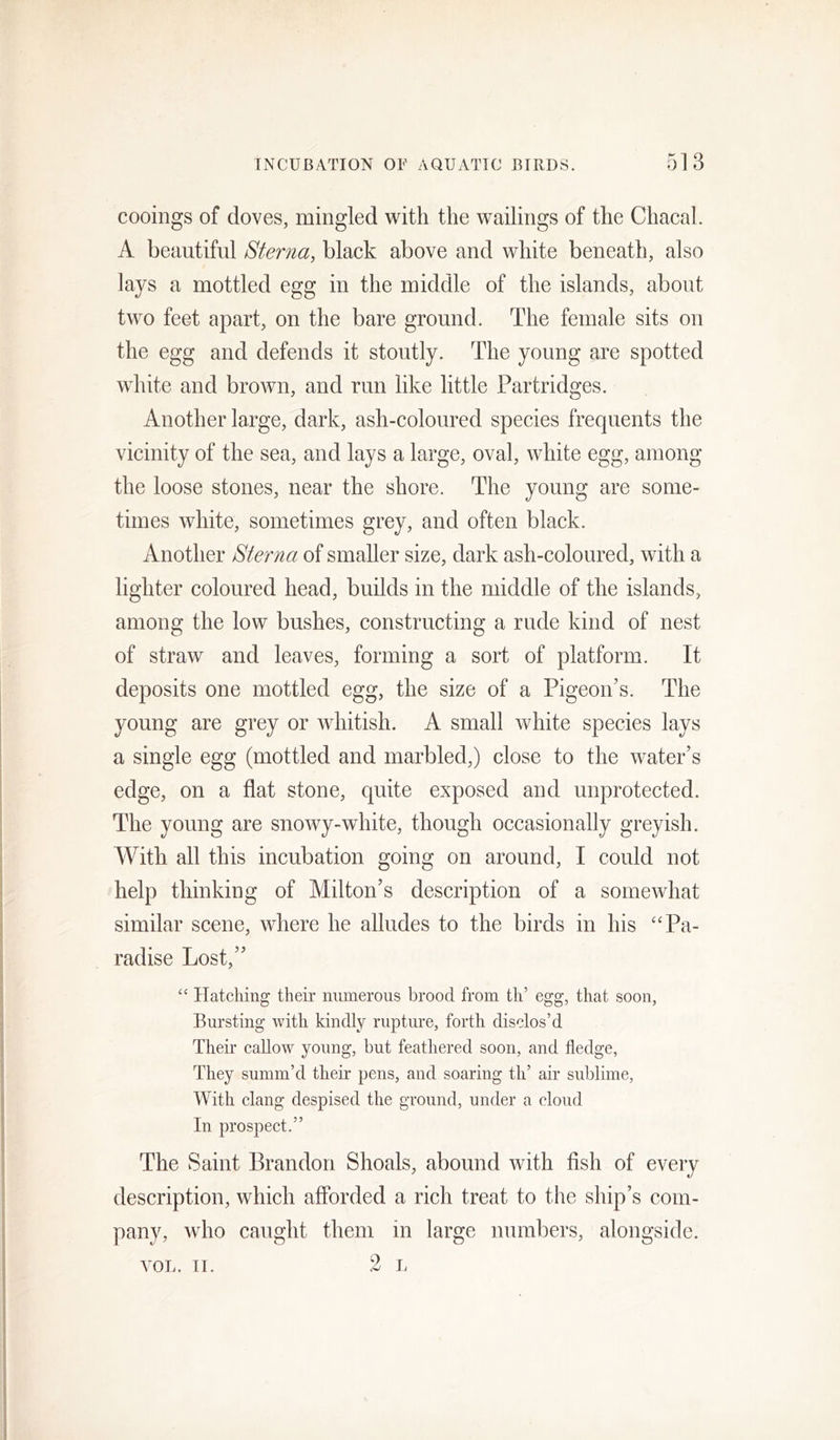 cooings of doves, mingled with the wailings of the Chacal. A beautiful Sterna, black above and white beneath, also lays a mottled egg in the middle of the islands, about two feet apart, on the bare ground. The female sits on the egg and defends it stoutly. The young are spotted white and broAvn, and run like little Partridges. Another large, dark, ash-coloured species frequents the vicinity of the sea, and lays a large, oval, white egg, among the loose stones, near the shore. The young are some- times white, sometimes grey, and often black. Another Sterna of smaller size, dark ash-coloured, with a lighter coloured head, builds in the middle of the islands, among the low bushes, constructing a rude kind of nest of straw and leaves, forming a sort of platform. It deposits one mottled egg, the size of a Pigeon’s. The young are grey or whitish. A small white species lays a single egg (mottled and marbled,) close to the water’s edge, on a flat stone, quite exposed and unprotected. The young are snowy-white, though occasionally greyish. With all this incubation going on around, I could not help thinking of Milton’s description of a somewhat similar scene, where he alludes to the birds in his “Pa- radise Lost,” “ Hatching their numerous brood from th’ egg, that soon, Bursting with kindly rupture, forth disclos’d Their callow young, but feathered soon, and fledge, They summ’d their pens, and soaring th’ air sublime. With clang despised the ground, under a cloud In prospect.” The Saint Brandon Shoals, abound ivith flsh of every description, which aflbrded a rich treat to the ship’s com- pany, who caught them in large numbers, alongside. 2 L VOL. II.