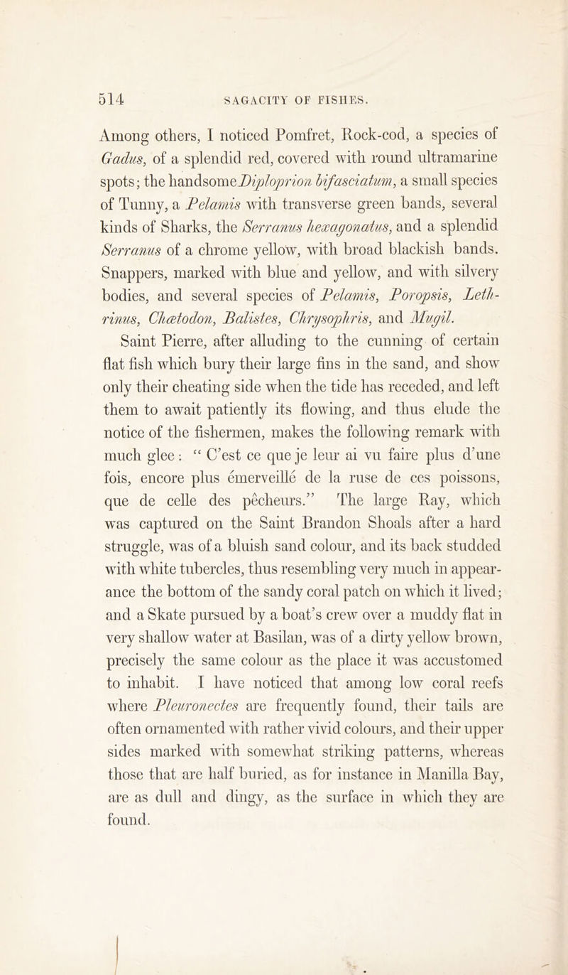 Among others, I noticed Pomfret, Rock-cod, a species of Gadus, of a splendid red, covered with round ultramarine spots; the handsomebifasciatum, a small species of Tunny, a Pelamis with transverse green bands, several kinds of Sharks, the Serranus liexagonatus, and a splendid Serf anus of a chrome yellow, with broad blackish bands. Snappers, marked with blue and yellow, and with silvery bodies, and several species of Pelamis, Poropsis, Letli- rinus, CJieetodon, Balistes, Cdirysopliris, and Mugil. Saint Pierre, after alluding to the cunning of certain flat fish which bury their large fins in the sand, and show only their cheating side when the tide has receded, and left them to await patiently its flowing, and thus elude the notice of the fishermen, makes the following remark with much glee; “ C’est ce que je leur ai vu faire plus d’une fois, encore plus emerveille de la ruse de ces poissons, que de celle des pecheurs.’’ The large Ray, which w^as captured on the Saint Brandon Shoals after a hard struggle, was of a bluish sand colour, and its back studded with white tubercles, thus resembling very much in appear- ance the bottom of the sandy coral patch on which it lived; and a Skate pursued by a boat’s crew over a muddy flat in very shallow water at Basilan, was of a dirty yellow brown, precisely the same colour as the place it was accustomed to inhabit. I have noticed that among low coral reefs where Pleuronectes are frequently found, their tails are often ornamented with rather vivid colours, and their upper sides marked with somewhat striking patterns, whereas those that are half buried, as for instance in Manilla Bay, are as dull and dingy, as the surface in which they are found. /
