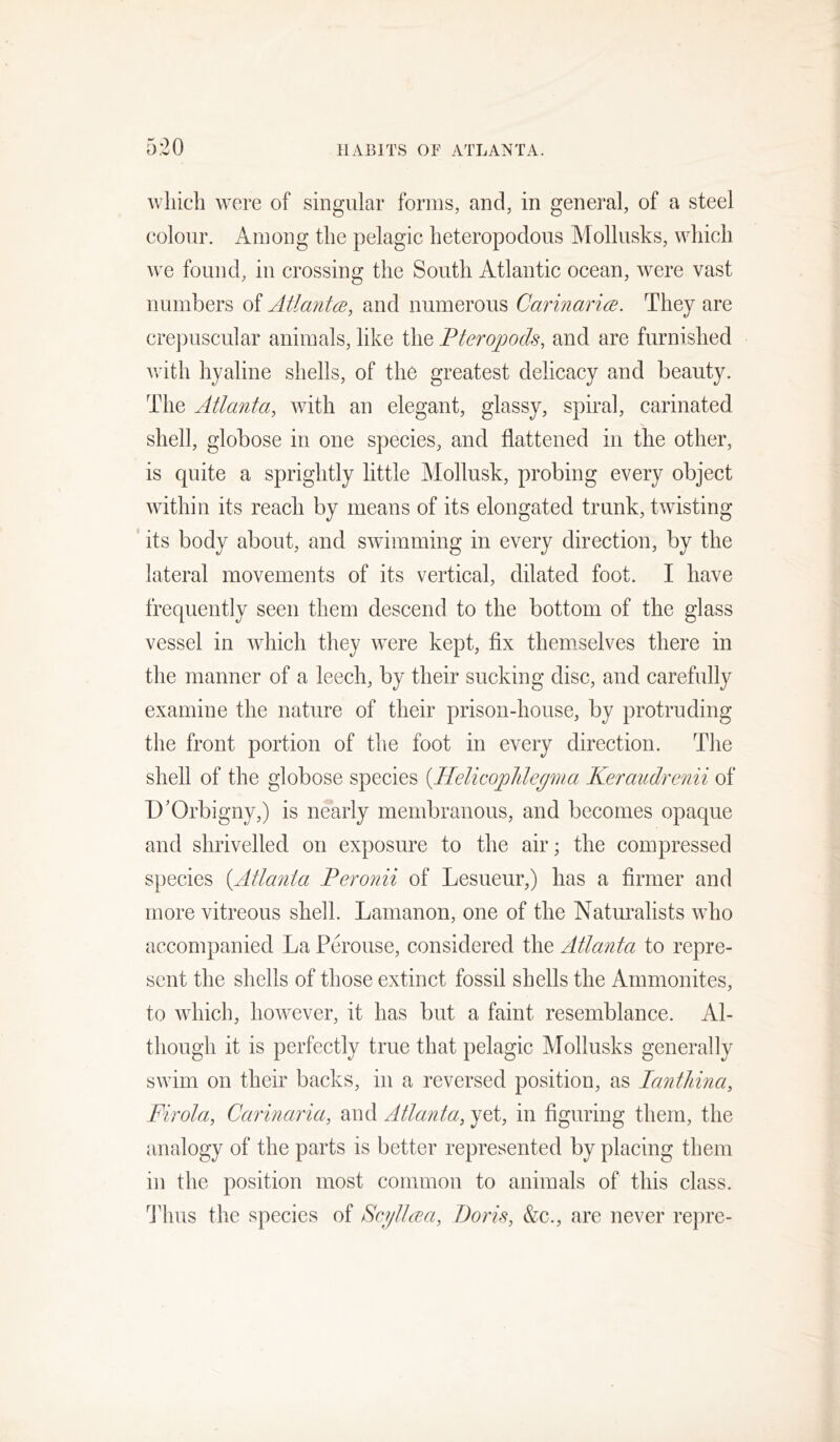 which were of singular forms, and, in general, of a steel colour. Among the pelagic heteropodous Mollusks, which we found, in crossing the South Atlantic ocean, were vast numbers of Atlant(]e, and numerous Carinaria. They are crepuscular animals, like the Fteropods, and are furnished with hyaline shells, of the greatest delicacy and beauty. The Atlanta, with an elegant, glassy, spiral, carinated shell, globose in one species, and flattened in the other, is quite a sprightly little Mollusk, probing every object within its reach by means of its elongated trunk, twisting ’ its body about, and swimming in every direction, by the lateral movements of its vertical, dilated foot. I have frequently seen them descend to the bottom of the glass vessel in which they were kept, fix themselves there in the manner of a leech, by their sucking disc, and carefully examine the nature of their prison-house, by protruding the front portion of the foot in every direction. The shell of the globose species {Helicoplde^ma Keraudrenii of D'Orbigny,) is nearly membranous, and becomes opaque and shrivelled on exposure to the air; the compressed species {Atlanta Feronii of Lesueur,) has a firmer and more vitreous shell. Lamanon, one of the Natoalists who accompanied La Perouse, considered the Atlanta to repre- sent the shells of those extinct fossil shells the Ammonites, to which, however, it has but a faint resemblance. Al- though it is perfectly true that pelagic Mollusks generally swim on their backs, in a reversed position, as lantliina, Firola, Carinaria, and Atlanta, yet, in figuring them, the analogy of the parts is better represented by placing them in the position most common to animals of this class, d'hus the species of Acijttcea, Doris, &c., are never repre-