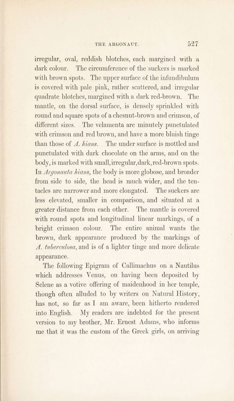 irregular, oval, reddish blotches, each margined with a dark colour. The circumference of the suckers is marked with brown spots. The upper surface of the infundibulum is covered with pale pink, rather scattered, and irregular quadrate blotches, margined with a dark red-brown. The mantle, on the dorsal surface, is densely sprinkled with round and square spots of a chesnut-brown and crimson, of different sizes. The velamenta are minutely punctulated with crimson and red brown, and have a more bluish tinge than those of A. Mans. The under surface is mottled and punctulated with dark chocolate on the arms, and on the body, is marked with small,irregular,dark, red-brown spots. In Argonauta Mans, the body is more globose, and broader from side to side, the head is much wider, and the ten- tacles are narrower and more elongated. The suckers are less elevated, smaller in comparison, and situated at a greater distance from each other. The mantle is covered with round spots and longitudinal linear markings, of a bright crimson colour. The entire animal wants the brown, dark appearance produced by the markings of A. tuberculosa, and is of a lighter tinge and more delicate appearance. The following Epigram of Callimachus on a Nautilus which addresses Venus, on having been deposited by Selene as a votive offering of maidenhood in her temple, though often alluded to by writers on Natural History, has not, so far as I am aware, been hitherto rendered into English. My readers are indebted for the present version to my brother, Mr. Ernest Adams, who informs me that it was the custom of the Greek girls, on arriving