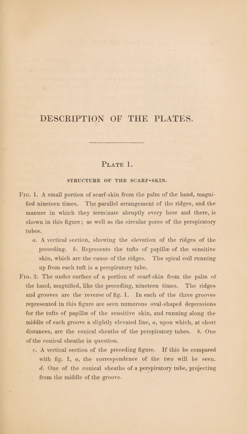 DESCRIPTION OF THE PLATES. Plate 1. STRUCTURE OF THE SCARF-SKIN. Fig. 1. A small portion of scarf-skin from the palm of the hand, magni¬ fied nineteen times. The parallel arrangement of the ridges, and the manner in which they terminate abruptly every here and there, is shown in this figure; as well as the circular pores of the perspiratory tubes. a. A vertical section, showing the elevation of the ridges of the preceding, b. Represents the tufts of papillae of the sensitive skin, which are the cause of the ridges. The spiral coil running up from each tuft is a perspiratory tube. Fig. 2. The under surface of a portion of scarf-skin from the palm of the hand, magnified, like the preceding, nineteen times. The ridges and grooves are the reverse of fig. 1. In each of the three grooves represented in this figure are seen numerous oval-shaped depressions for the tufts of papillae of the sensitive skin, and running along the middle of each groove a slightly elevated line, a, upon which, at short distances, are the conical sheaths of the perspiratory tubes, b. One of the conical sheaths in question. c. A vertical section of the preceding figure. If this be compared with fig. 1, a, the correspondence of the two will be seen. d. One of the conical sheaths of a perspiratory tube, projecting from the middle of the groove.