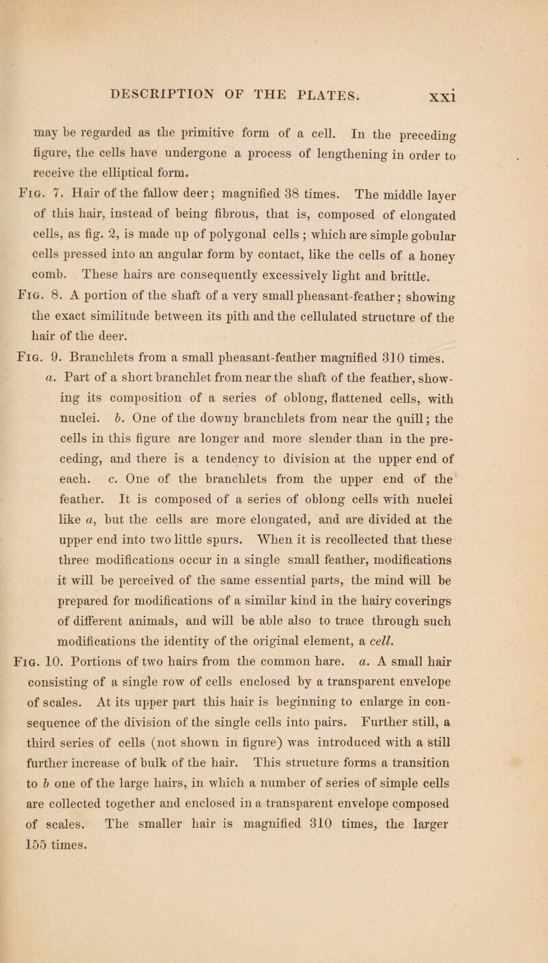 may be regarded as tbe primitive form of a cell. In the preceding figure, tlie cells have undergone a process of lengthening in order to receive the elliptical form. Fig. 7. Hair of the fallow deer; magnified 38 times. The middle layer of this hair, instead of being fibrous, that is, composed of elongated cells, as fig. 2, is made up of polygonal cells ; which are simple gobular cells pressed into an angular form by contact, like the cells of a honey comb. These hairs are consequently excessively light and brittle. Fig. 8. A portion of the shaft of a very small pheasant-feather; showing the exact similitude between its pith and the cellulated structure of the hair of the deer. Fig. 9. Branchlets from a small pheasant-feather magnified 310 times. a. Part of a short branchlet from near the shaft of the feather, show¬ ing its composition of a series of oblong, flattened cells, with nuclei, b. One of the downy branchlets from near the quill; the cells in this figure are longer and more slender than in the pre¬ ceding, and there is a tendency to division at the upper end of each. c. One of the branchlets from the upper end of the feather. It is composed of a series of oblong cells with nuclei like a, but the cells are more elongated, and are divided at the upper end into two little spurs. When it is recollected that these three modifications occur in a single small feather, modifications it will be perceived of the same essential parts, the mind will be prepared for modifications of a similar kind in the hairy coverings of different animals, and will be able also to trace through such modifications the identity of the original element, a cell. Fig. 10. Portions of two hairs from the common hare. a. A small hair consisting of a single row of cells enclosed by a transparent envelope of scales. At its upper part this hair is beginning to enlarge in con¬ sequence of the division of the single cells into pairs. Further still, a third series of cells (not shown in figure) was introduced with a still further increase of bulk of the hair. This structure forms a transition to b one of the large hairs, in which a number of series of simple cells are collected together and enclosed in a transparent envelope composed of scales. The smaller hair is magnified 310 times, the larger 155 times.