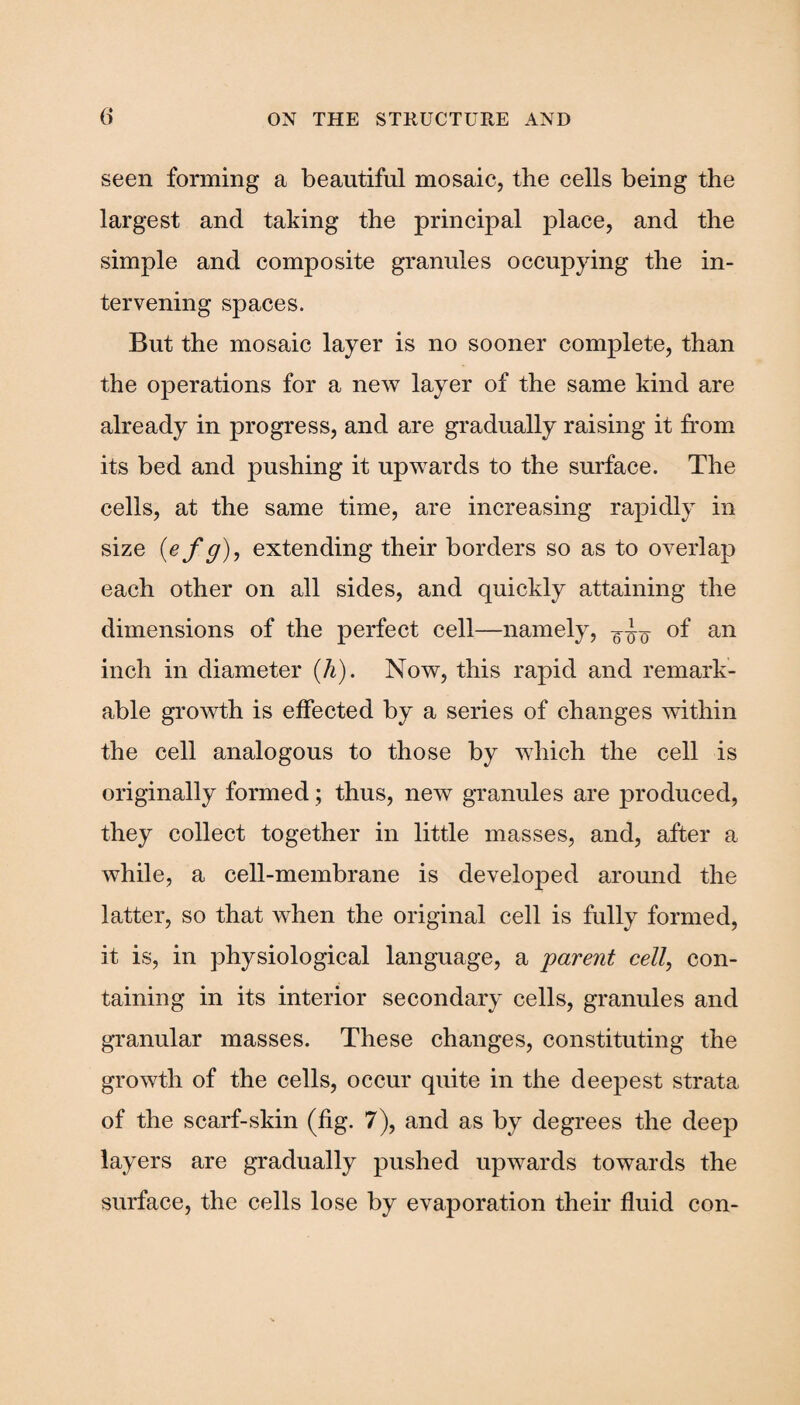 seen forming a beautiful mosaic, the cells being the largest and taking the principal place, and the simple and composite granules occupying the in¬ tervening spaces. But the mosaic layer is no sooner complete, than the operations for a new layer of the same kind are already in progress, and are gradually raising it from its bed and pushing it upwards to the surface. The cells, at the same time, are increasing rapidly in size (e f g), extending their borders so as to overlap each other on all sides, and quickly attaining the dimensions of the perfect cell—namely, of an inch in diameter (h). Now, this rapid and remark¬ able growth is effected by a series of changes within the cell analogous to those by which the cell is originally formed; thus, new granules are produced, they collect together in little masses, and, after a while, a cell-membrane is developed around the latter, so that when the original cell is frilly formed, it is, in physiological language, a parent cell, con¬ taining in its interior secondary cells, granules and granular masses. These changes, constituting the growth of the cells, occur quite in the deepest strata of the scarf-skin (fig. 7), and as by degrees the deep layers are gradually pushed upwards towards the surface, the cells lose by evaporation their fluid con-