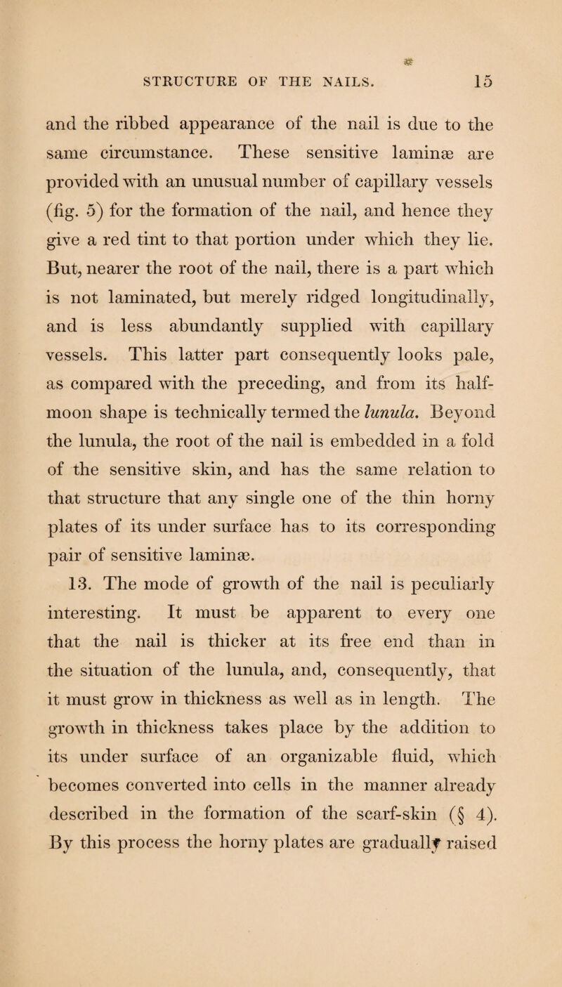 and the ribbed appearance of the nail is due to the same circumstance. These sensitive laminae are provided with an unusual number of capillary vessels (fig. 5) for the formation of the nail, and hence they give a red tint to that portion under which they lie. But, nearer the root of the nail, there is a part which is not laminated, but merely ridged longitudinally, and is less abundantly supplied with capillary vessels. This latter part consequently looks pale, as compared with the preceding, and from its half¬ moon shape is technically termed the lunula. Beyond the lunula, the root of the nail is embedded in a fold of the sensitive skin, and has the same relation to that structure that any single one of the thin horny plates of its under surface has to its corresponding pair of sensitive laminae. 13. The mode of growth of the nail is peculiarly interesting. It must be apparent to every one that the nail is thicker at its free end than in the situation of the lunula, and, consequently, that it must grow in thickness as well as in length. The growth in thickness takes place by the addition to its under surface of an organizable fluid, which becomes converted into cells in the manner already described in the formation of the scarf-skin (§ 4). By this process the horny plates are gradually raised