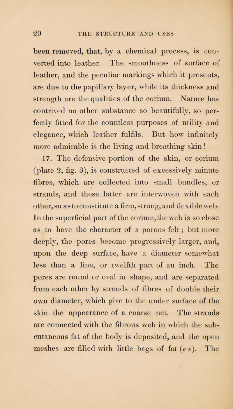 been removed, that, by a chemical process, is con¬ verted into leather. The smoothness of surface of leather, and the peculiar markings which it presents, are due to the papillary layer, while its thickness and strength are the qualities of the corium. Nature has contrived no other substance so beautifully, so per¬ fectly fitted for the countless purposes of utility and elegance, which leather fulfils. But how infinitely more admirable is the living and breathing skin ! 17. The defensive portion of the skin, or corium (plate 2, fig. 3), is constructed of excessively minute fibres, which are collected into small bundles, or strands, and these latter are interwoven with each other, so as to constitute a firm, strong, and flexible web. In the superficial part of the corium, the web is so close as to have the character of a porous felt; but more deeply, the pores become progressively larger, and, upon the deep surface, have a diameter somewhat less than a line, or twelfth part of an inch. The pores are round or oval in shape, and are separated from each other by strands of fibres of double their own diameter, which give to the under surface of the skin the appearance of a coarse net. The strands are connected with the fibrous web in which the sub¬ cutaneous fat of the body is deposited, and the open meshes are filled with little bags of fat (e e). The