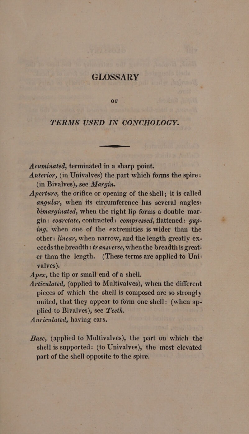 GLOSSARY OF TERMS USED IN CONCHOLOGY. Acuminated, terminated in a sharp point. Anterior, (in Univalves) the part which forms the spire: (in Bivalves), see Margin. Aperture, the orifice or opening of the shell; it is called angular, when its circumference has several angles: bimarginated, when the right lip forms a double mar- gin: coarctate, contracted: compressed, flattened: gap- ing, when one of the extremities is wider than the other: linear, when narrow, and the length greatly ex- ceeds the breadth : transverse, when the breadth is great- er than the length. (These terms are applied to Uni- valves). Apex, the tip or small end of a shell. Articulated, (applied to Multivalves), when the different pieces of which the shell is composed are so strongly united, that they appear to form one shell: (when ap- plied to Bivalves), see Teeth. Auriculated, having ears, Base, (applied to Multivalves), the part on which the shell is supported: (to Univalves), the most elevated part of the shell opposite to the spire.