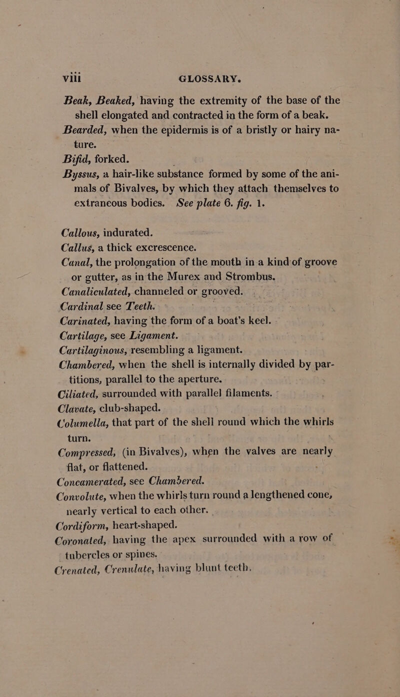 Beak, Beaked, having the extremity of the base of the shell elongated and contracted in the form of a beak. Bearded, when the epidermis is of a bristly or hairy na- ture. Bifid, forked. Byssus, a hair-like substance formed by some of the ani- mals of Bivalves, by which they attach themselves to extraneous bodies. See plate 6. fig. 1. Callous, indurated. Callus, a thick excrescence. Canal, the prolongation of the mouth in a kindof groove or gutter, as in the Murex and Strombus. Canaliculated, channeled or grooved. . Cardinal see Teeth. Carinated, having the form of a boat’s keel. Cartilage, see Ligament. Cartilaginous, resembling a ligament. Chambered, when the shell is internally divided by par- titions, parallel to the aperture. Ciliated, surrounded with parallel filaments. Clavate, club-shaped. Columella, that part of the shell round which the whirls turn. Compressed, (in Bivalves), when the valves are Fides « flat, or flattened. Concamerated, see Chambered. Convolute, when the whirls turn round a lengthened cone, nearly vertical to each other. Cordiform, heart-shaped. Coronated, having the apex surrounded with a row of tubercles or spines. Cr enated, Crenulate, having blunt teeth.